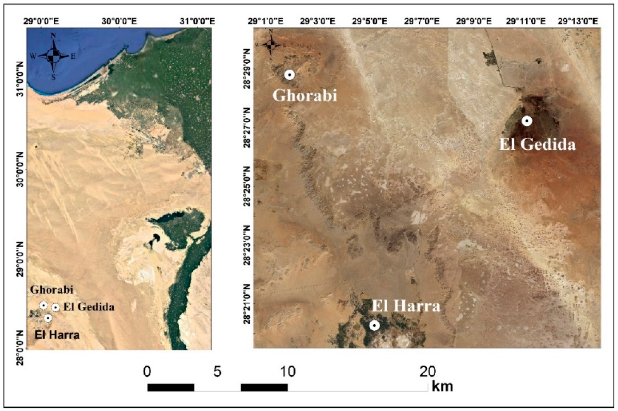 Sustainability 14 16225 g001