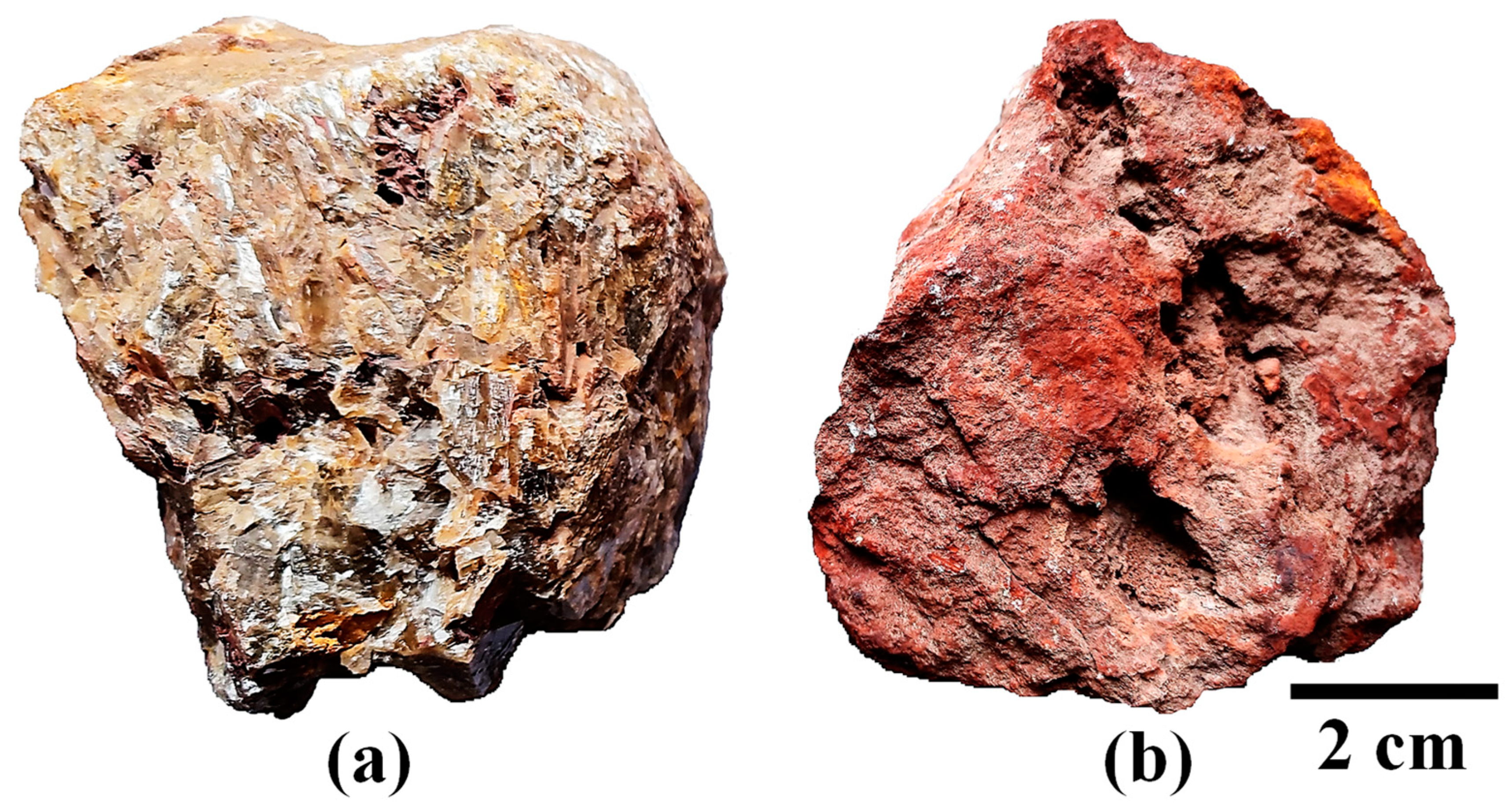 Sustainability 14 16225 g003