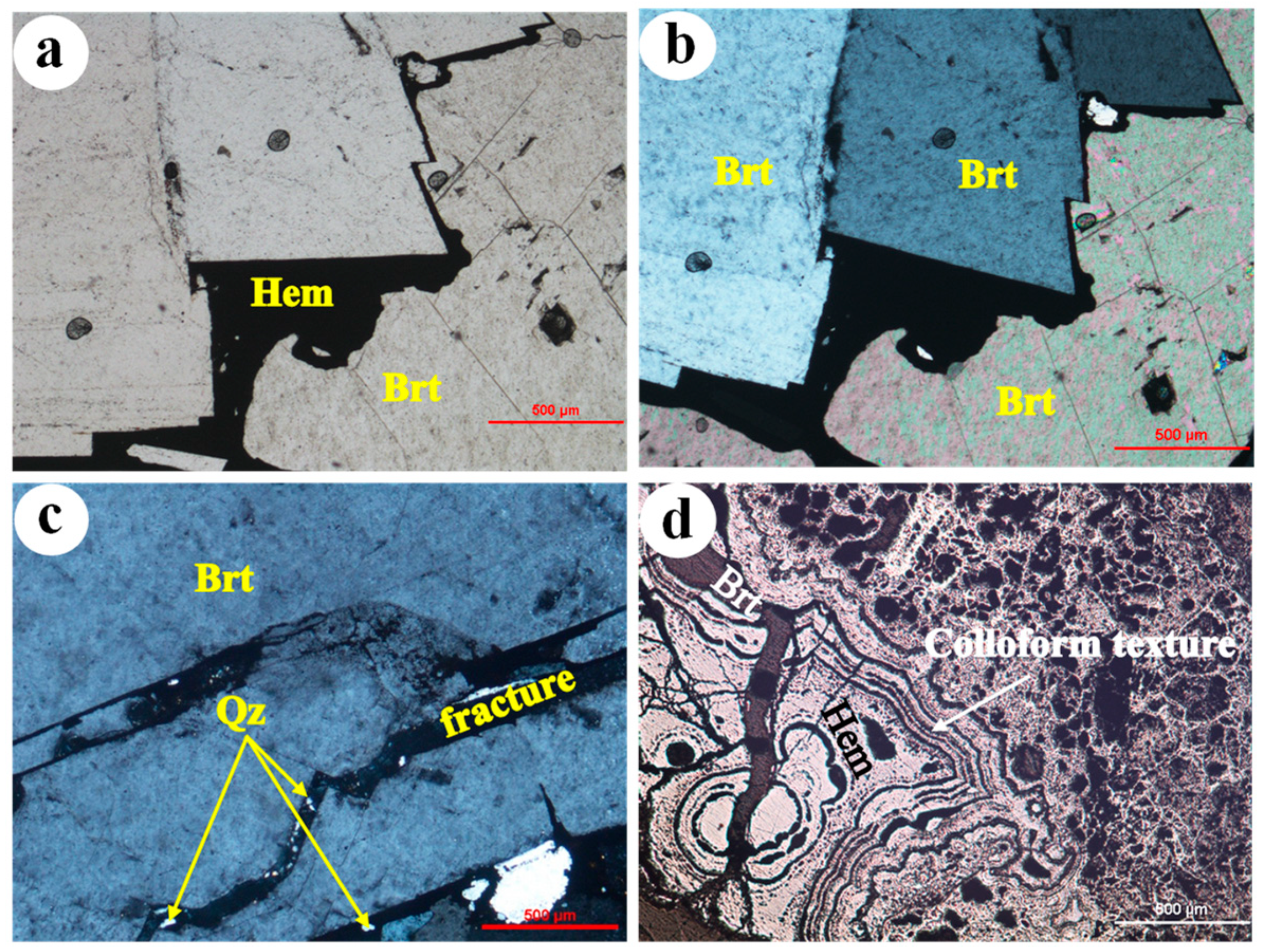 Sustainability 14 16225 g007