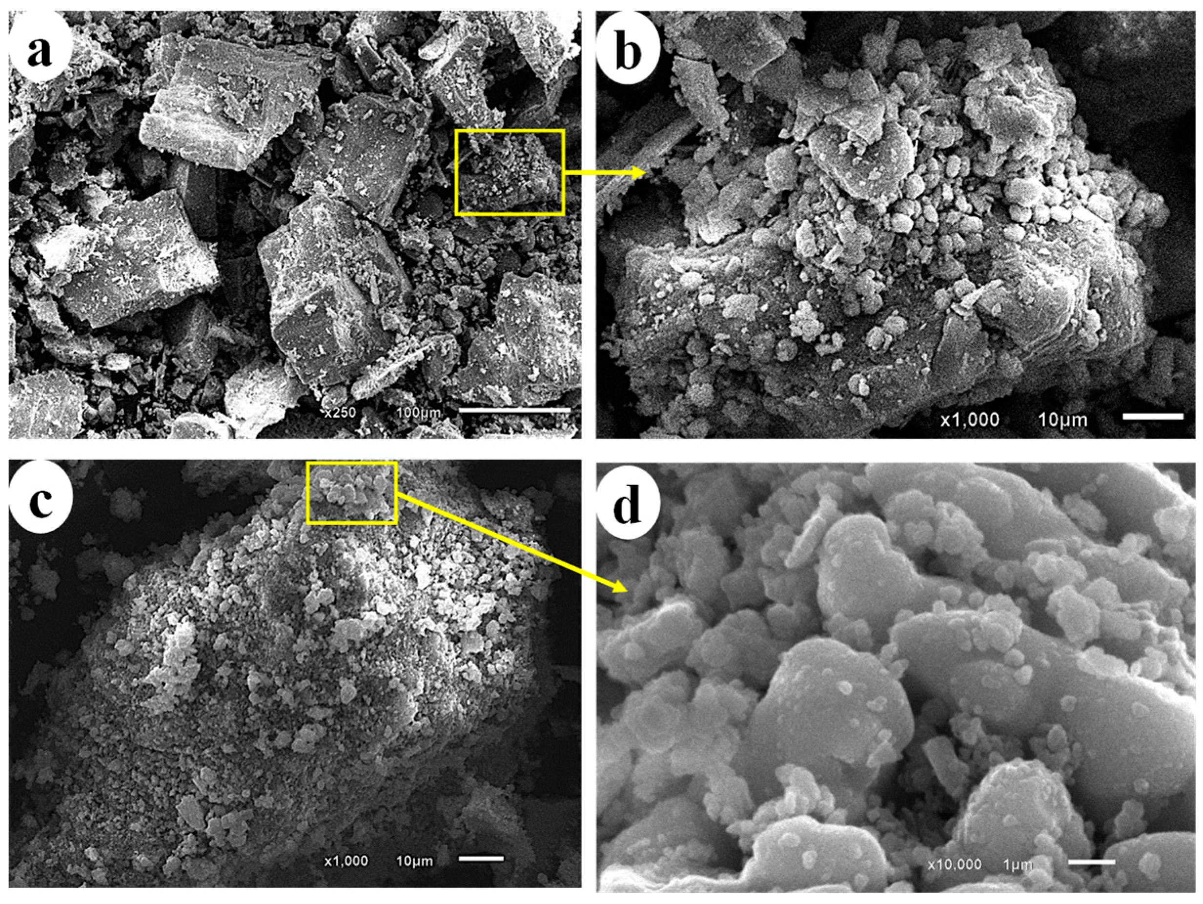 Sustainability 14 16225 g008