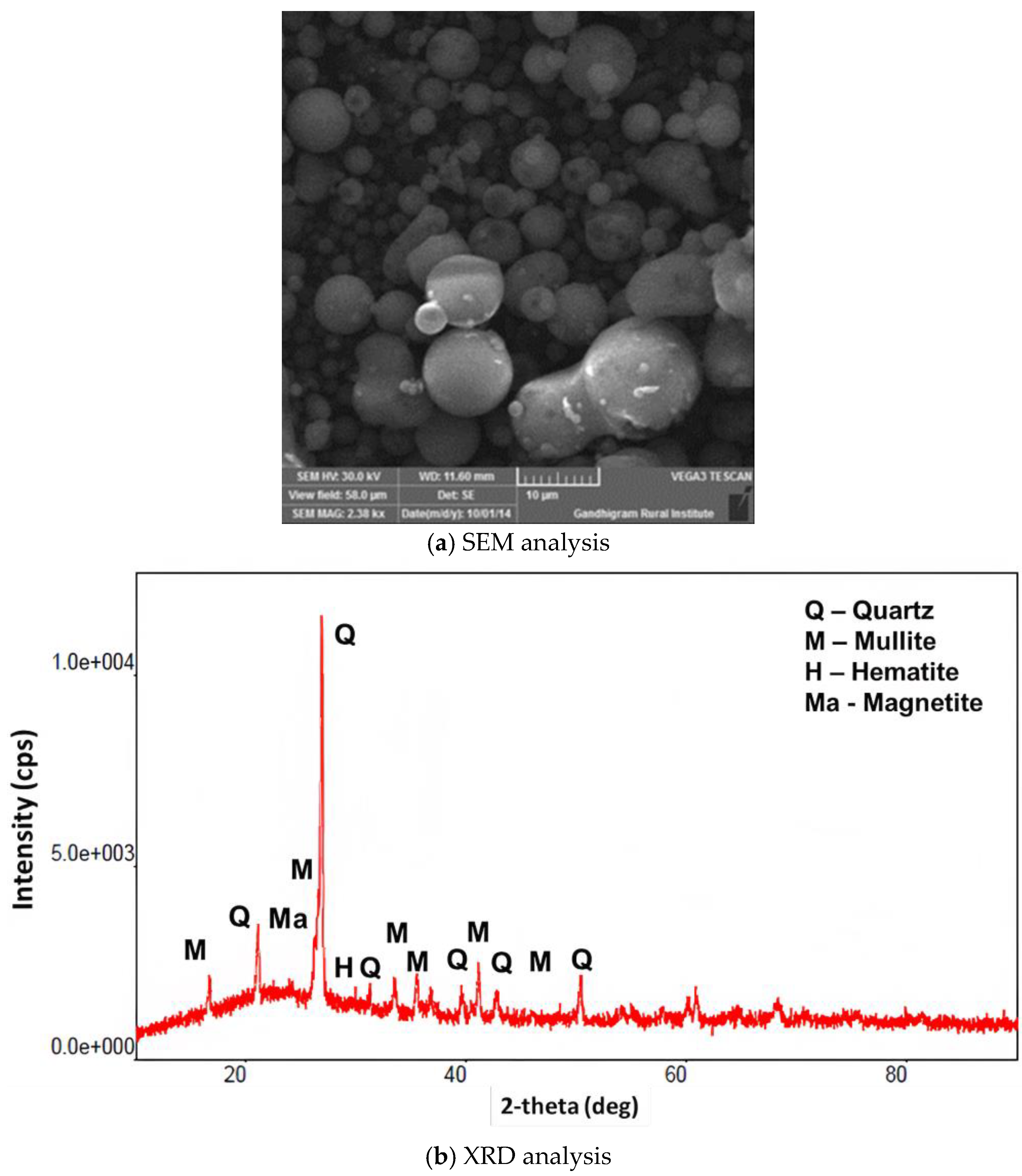 Sustainability 14 16300 g001