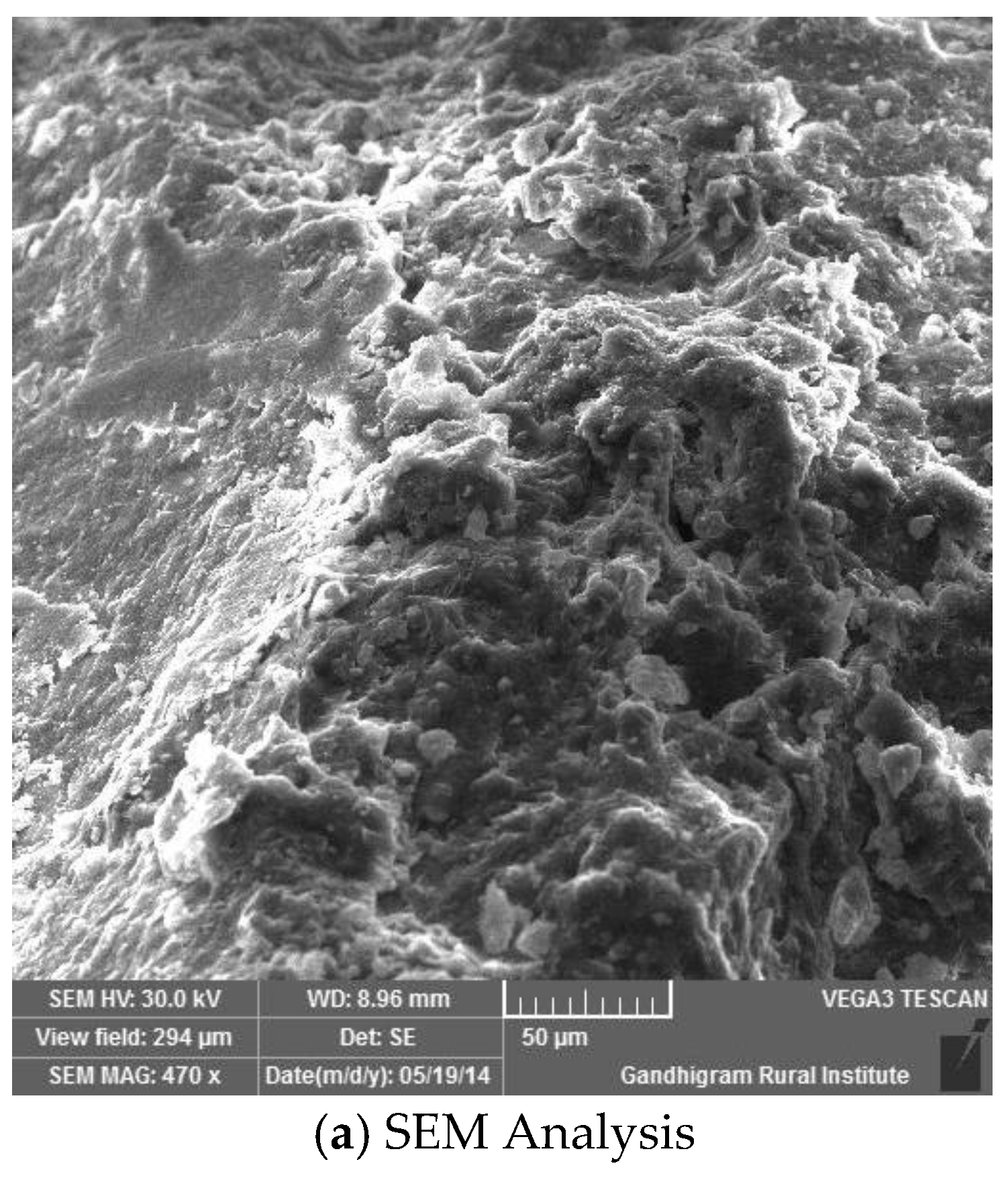 Sustainability 14 16300 g003a