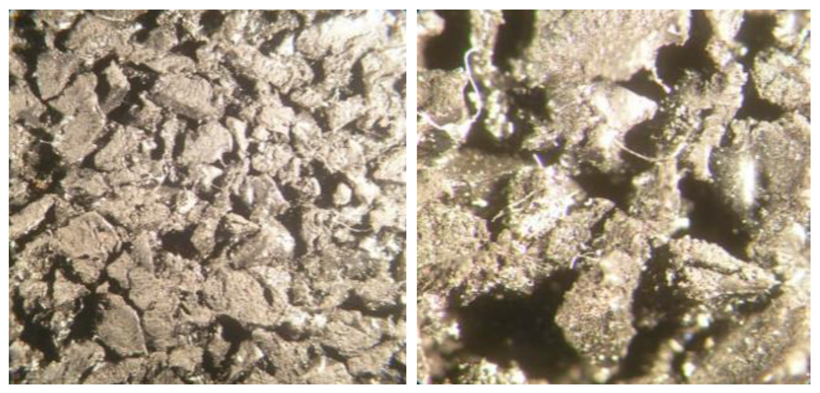 Sustainability 14 16372 g002