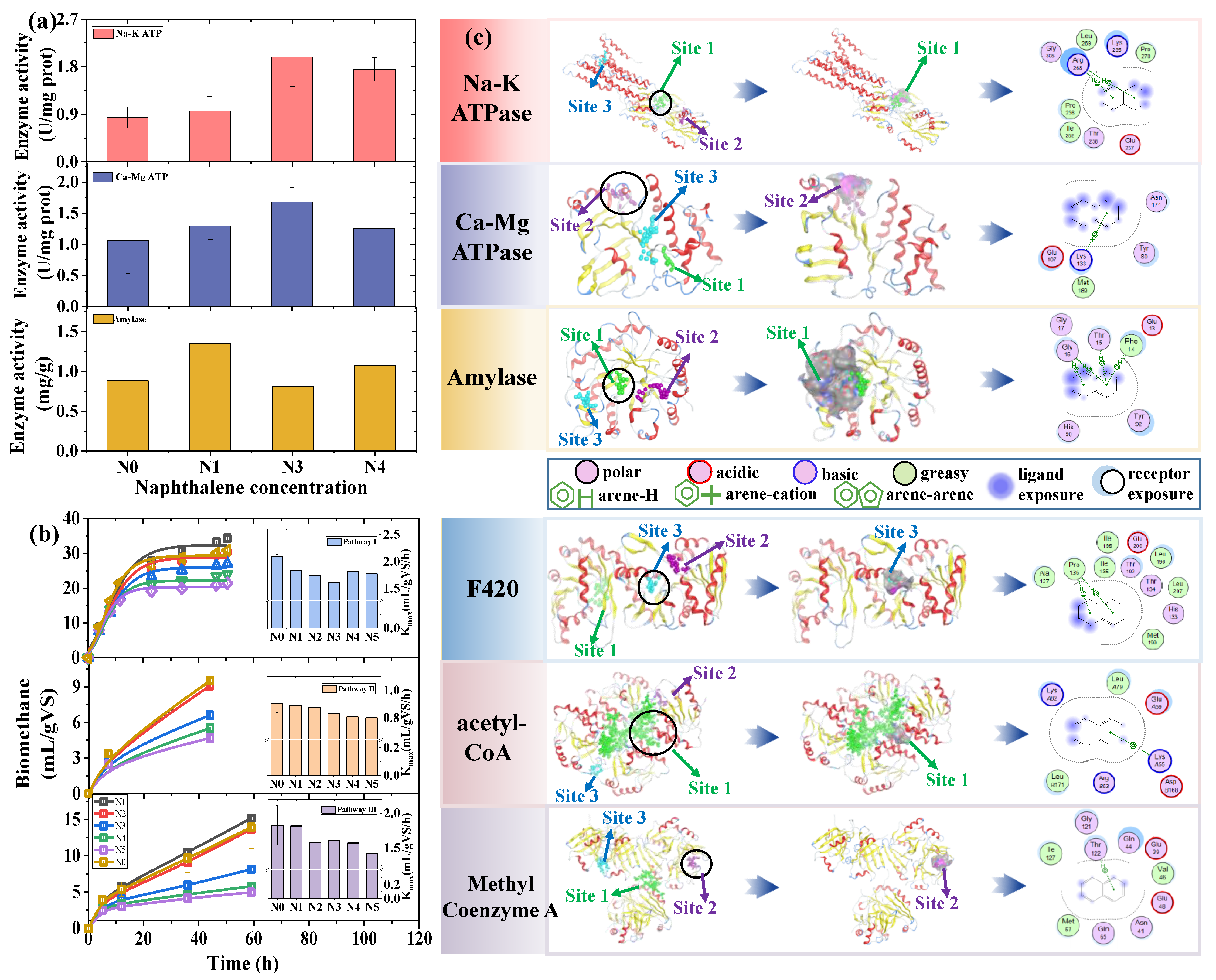 Sustainability 14 16377 g004