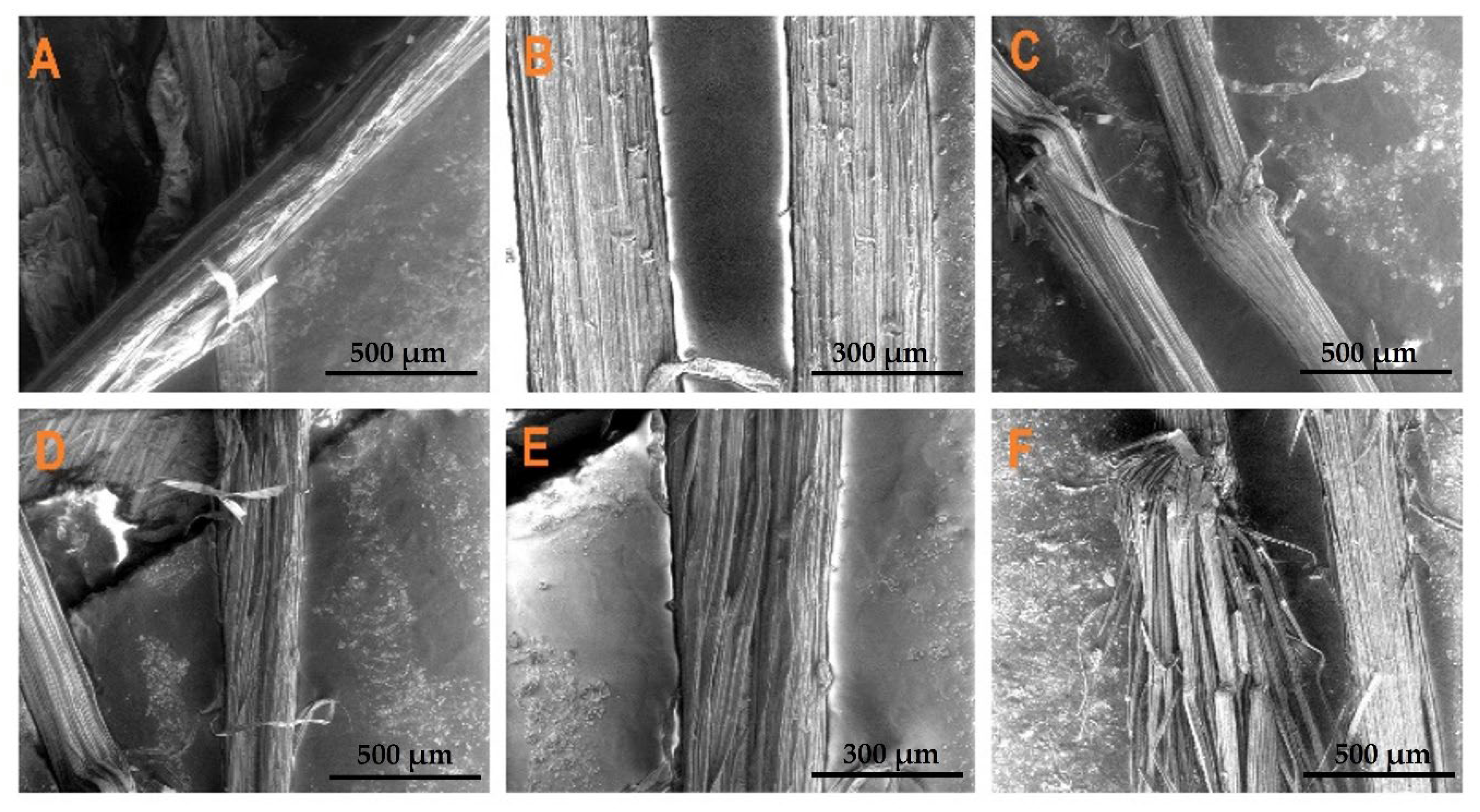 Sustainability 14 16450 g005