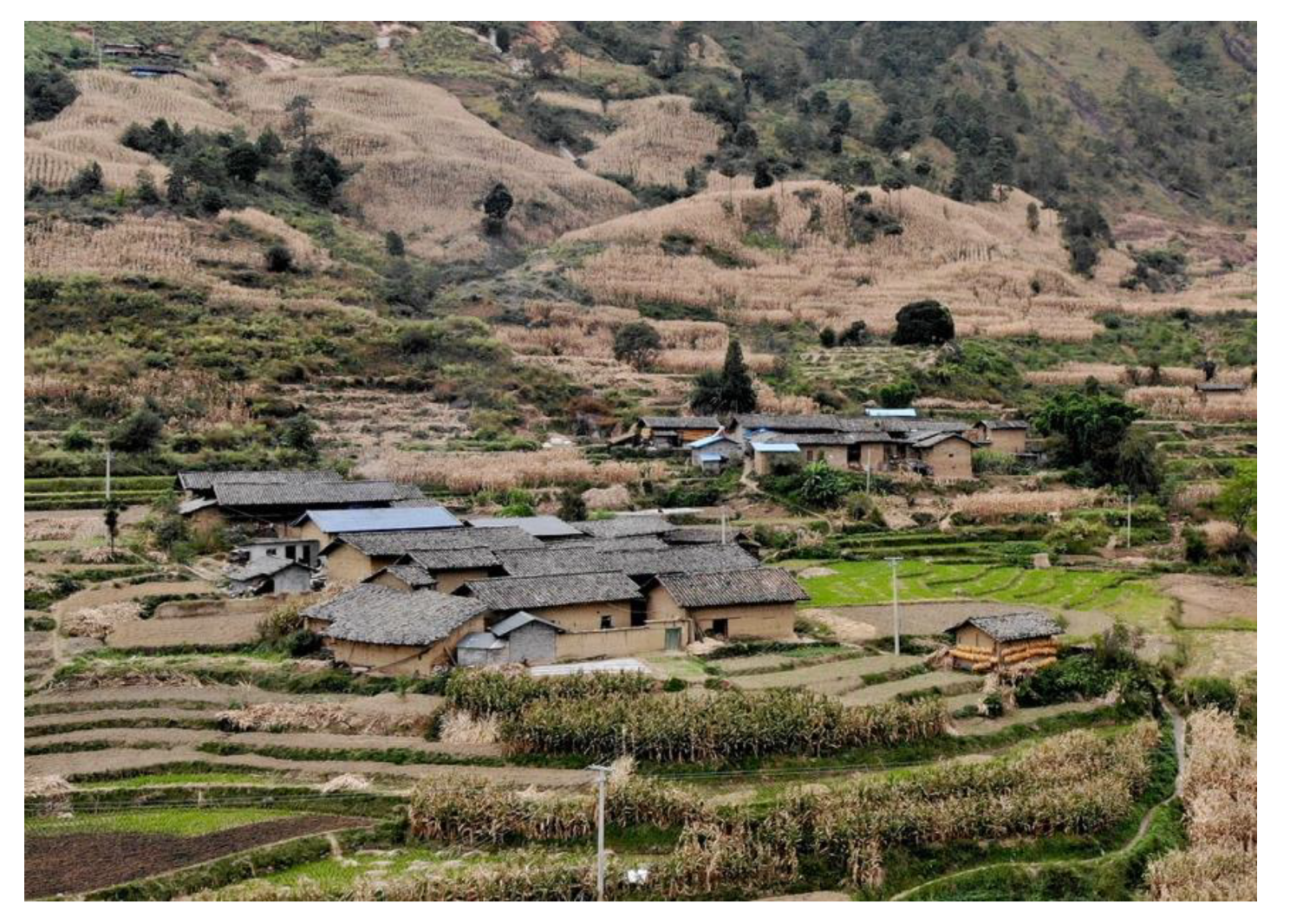 Sustainability 14 16461 g001