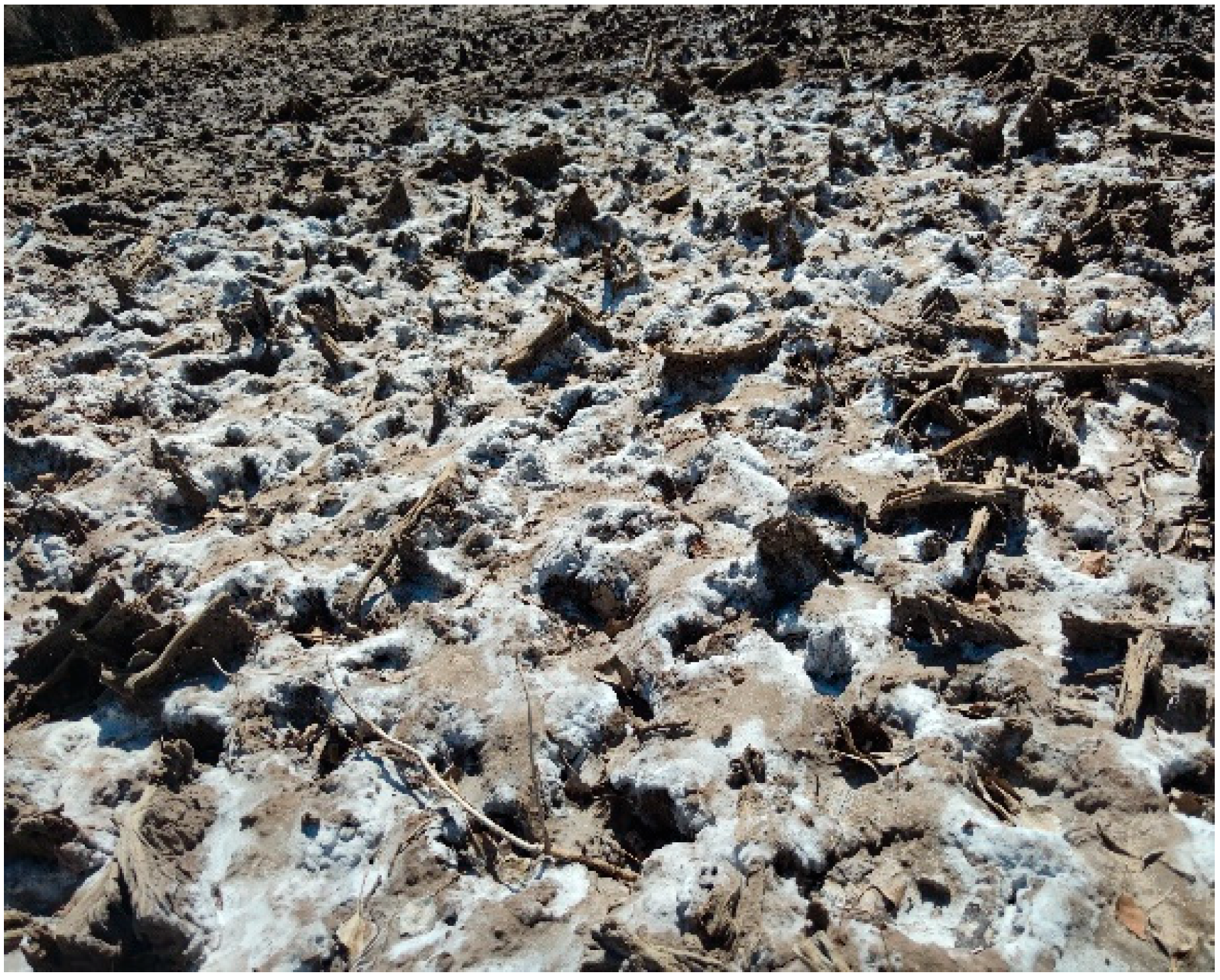 Sustainability 14 16486 g004