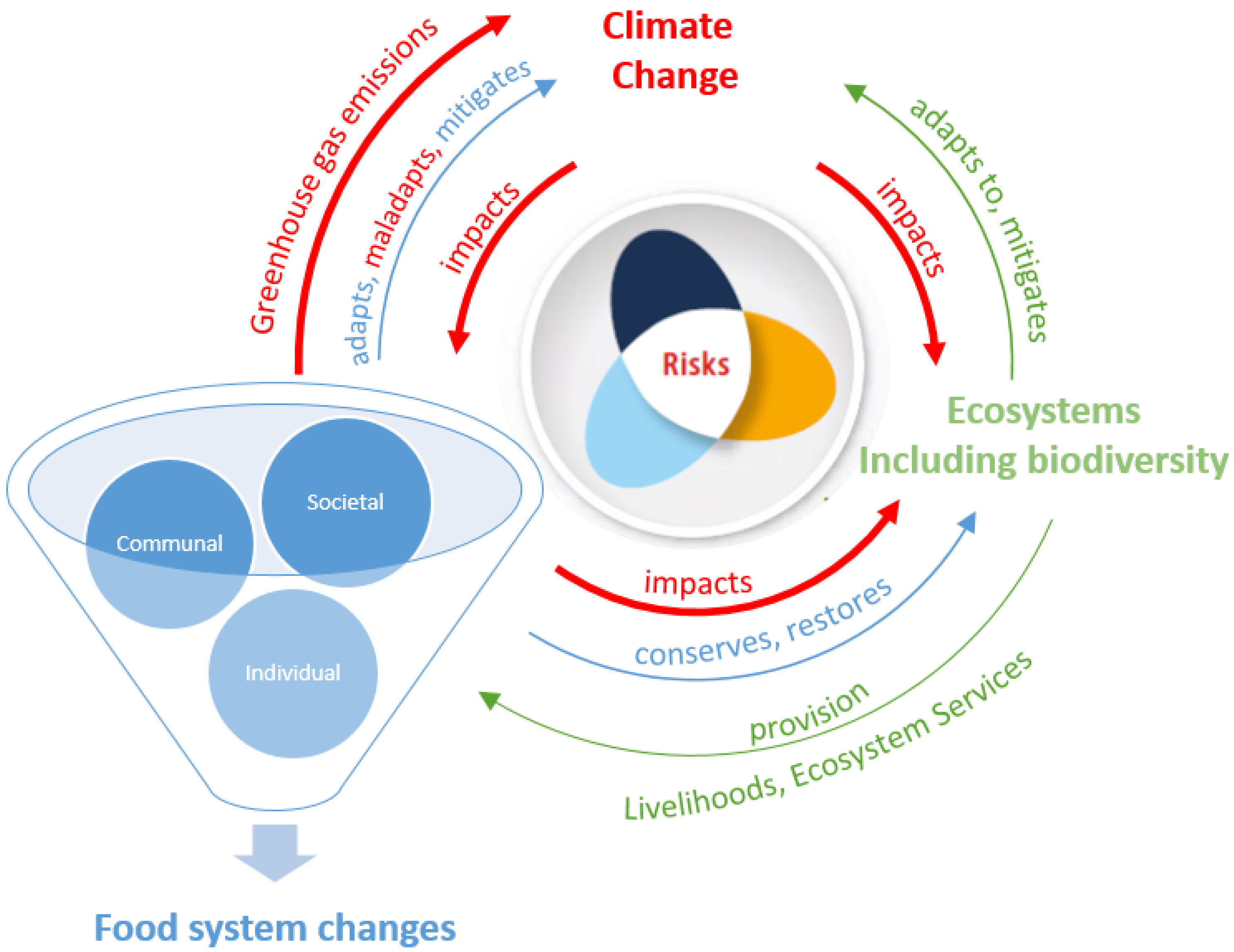 Sustainability 14 16502 g001