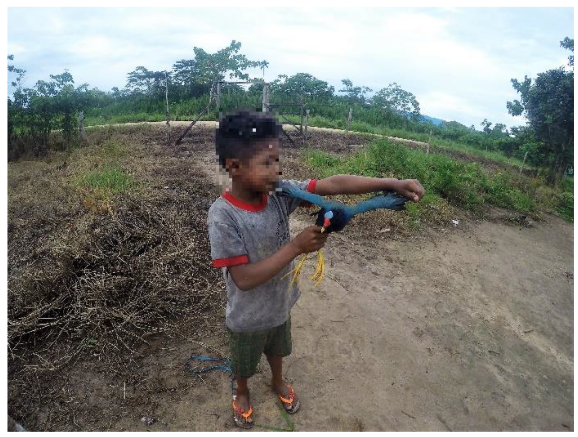 Sustainability 14 16502 g005