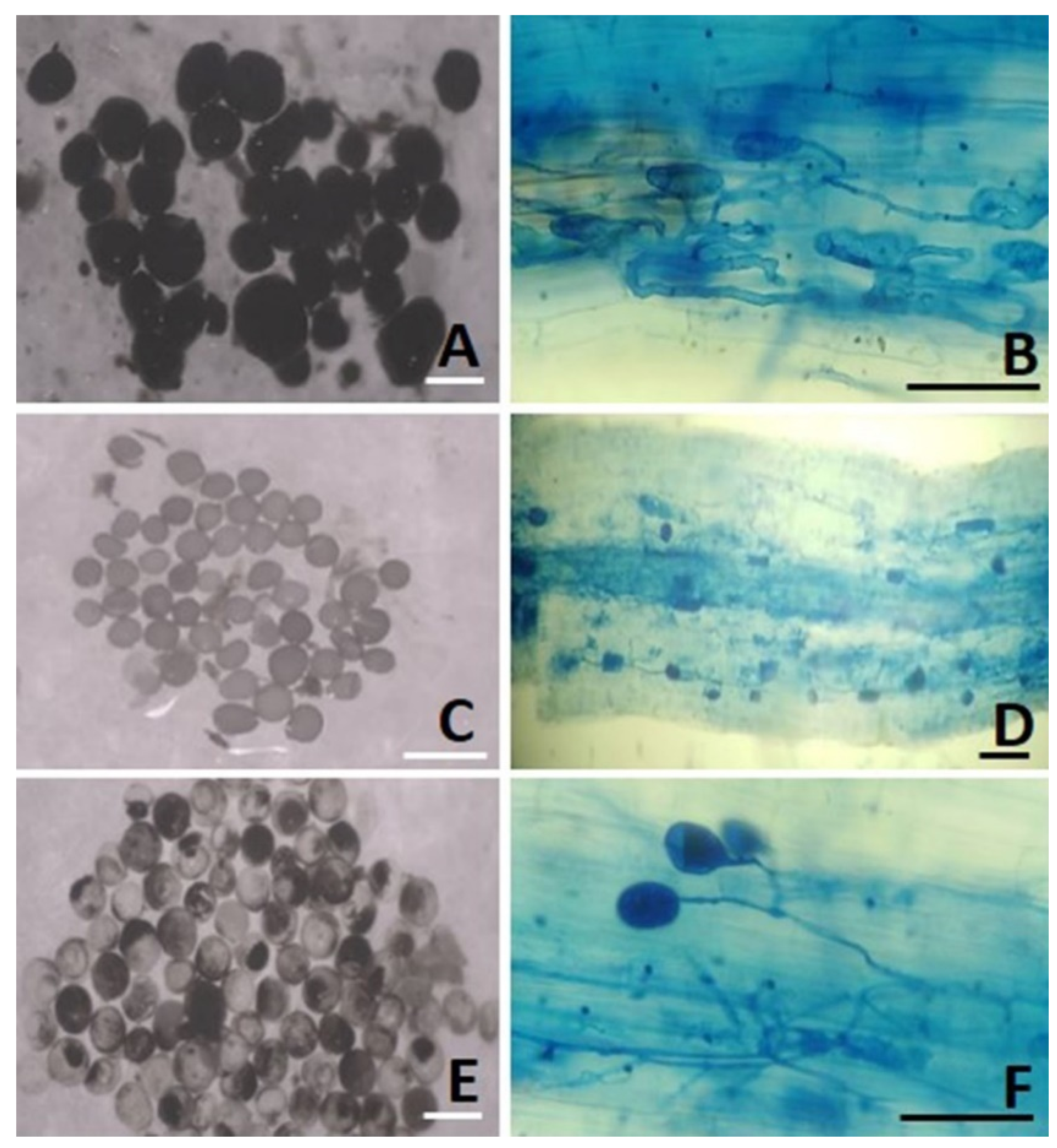 Sustainability 14 16537 g007