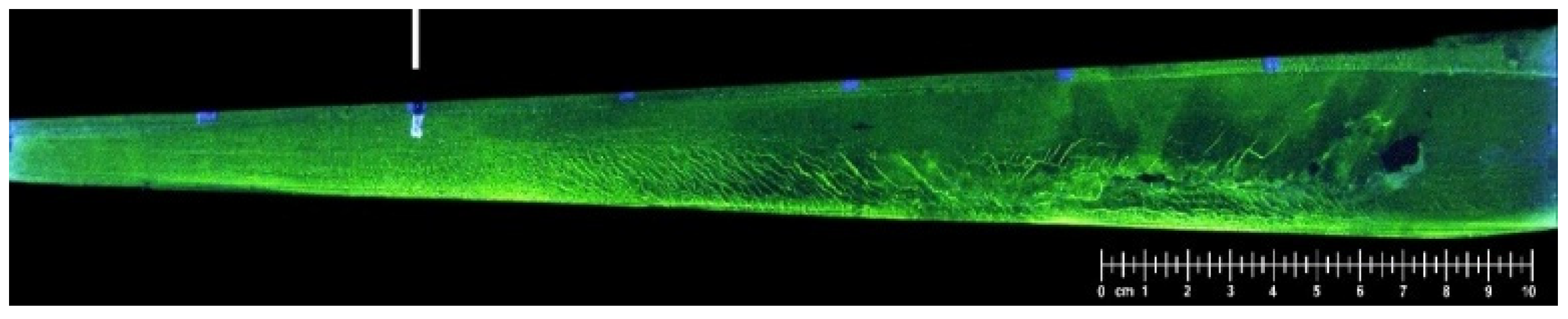 Sustainability 14 16565 g001