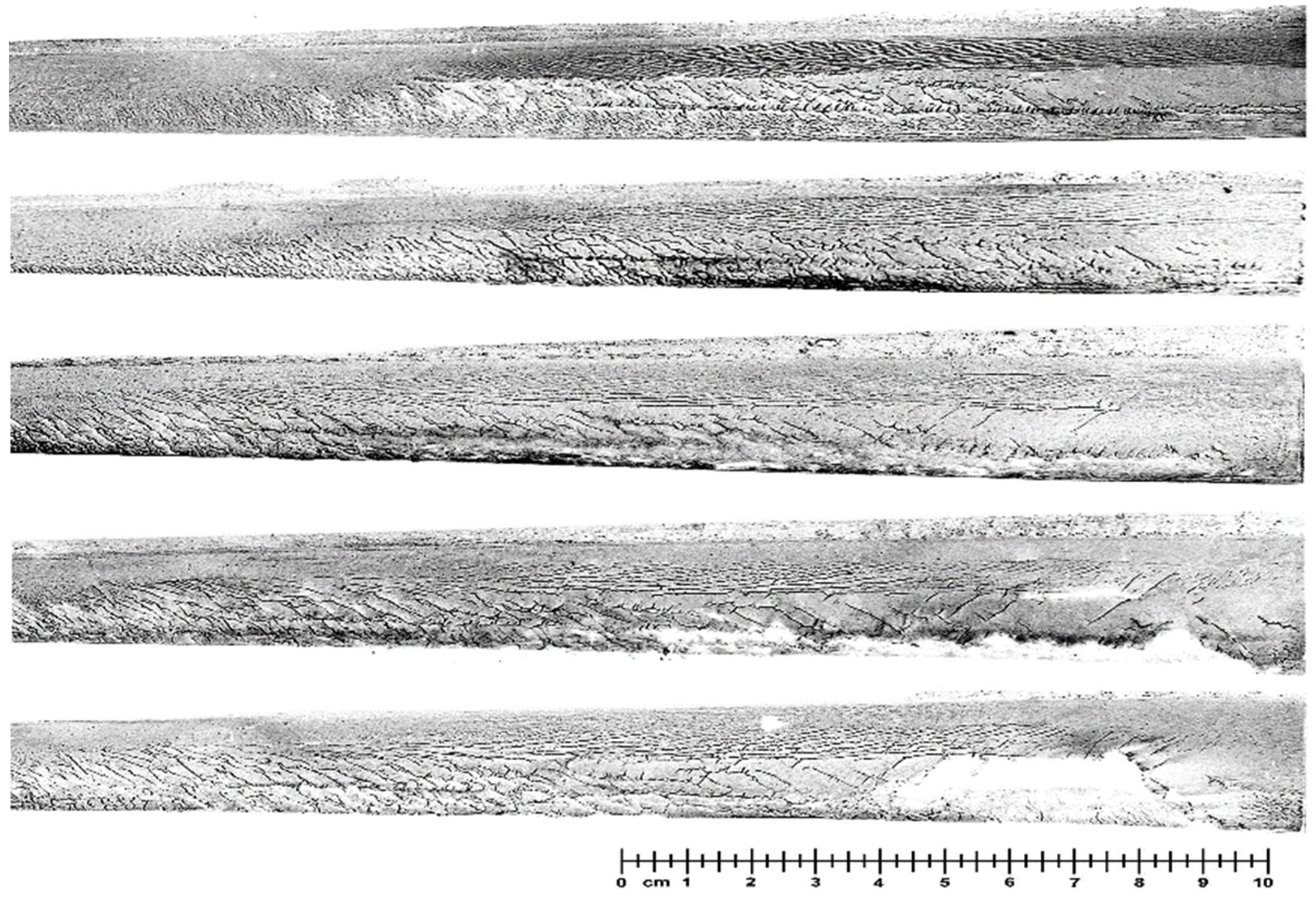 Sustainability 14 16565 g002