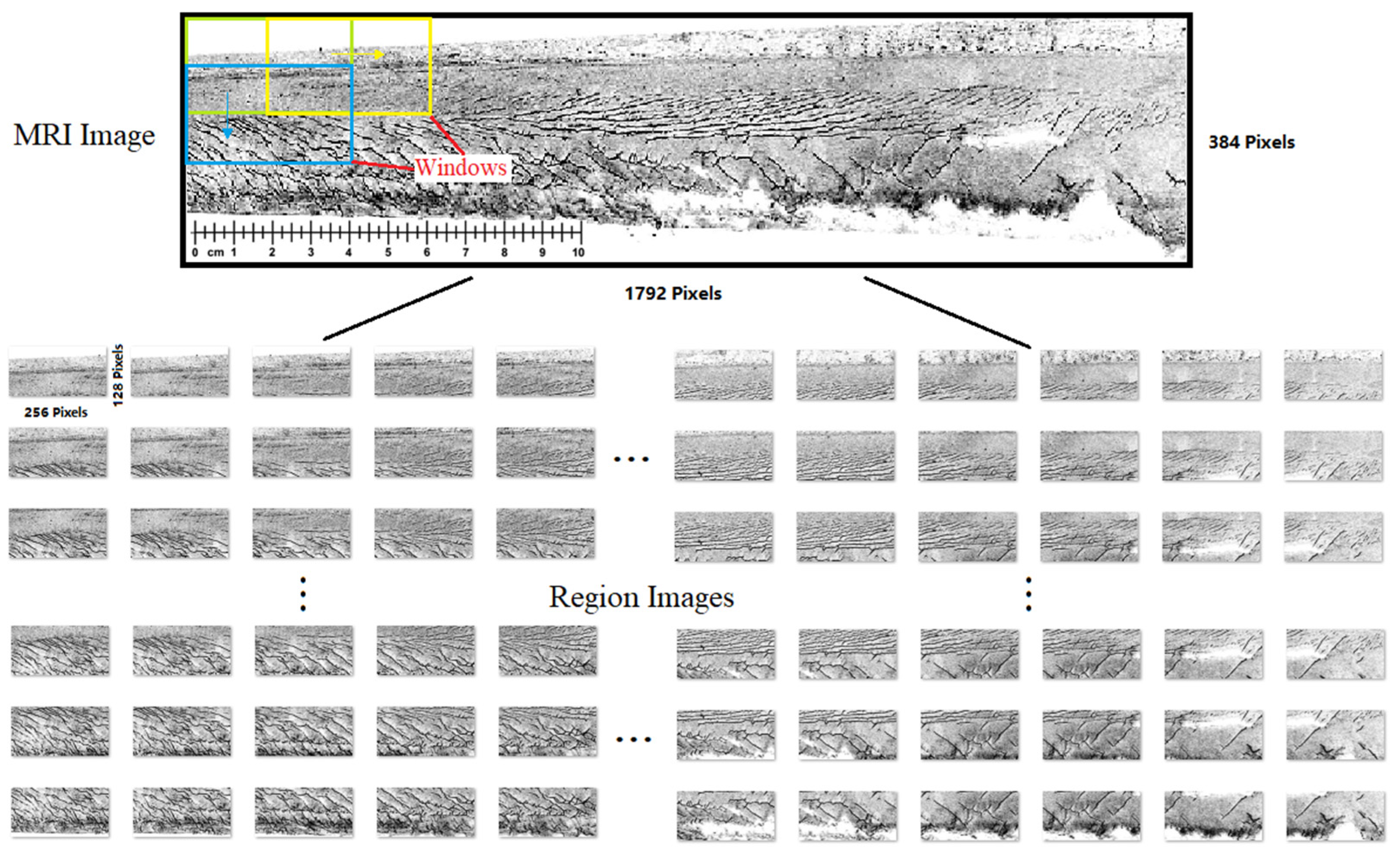 Sustainability 14 16565 g003