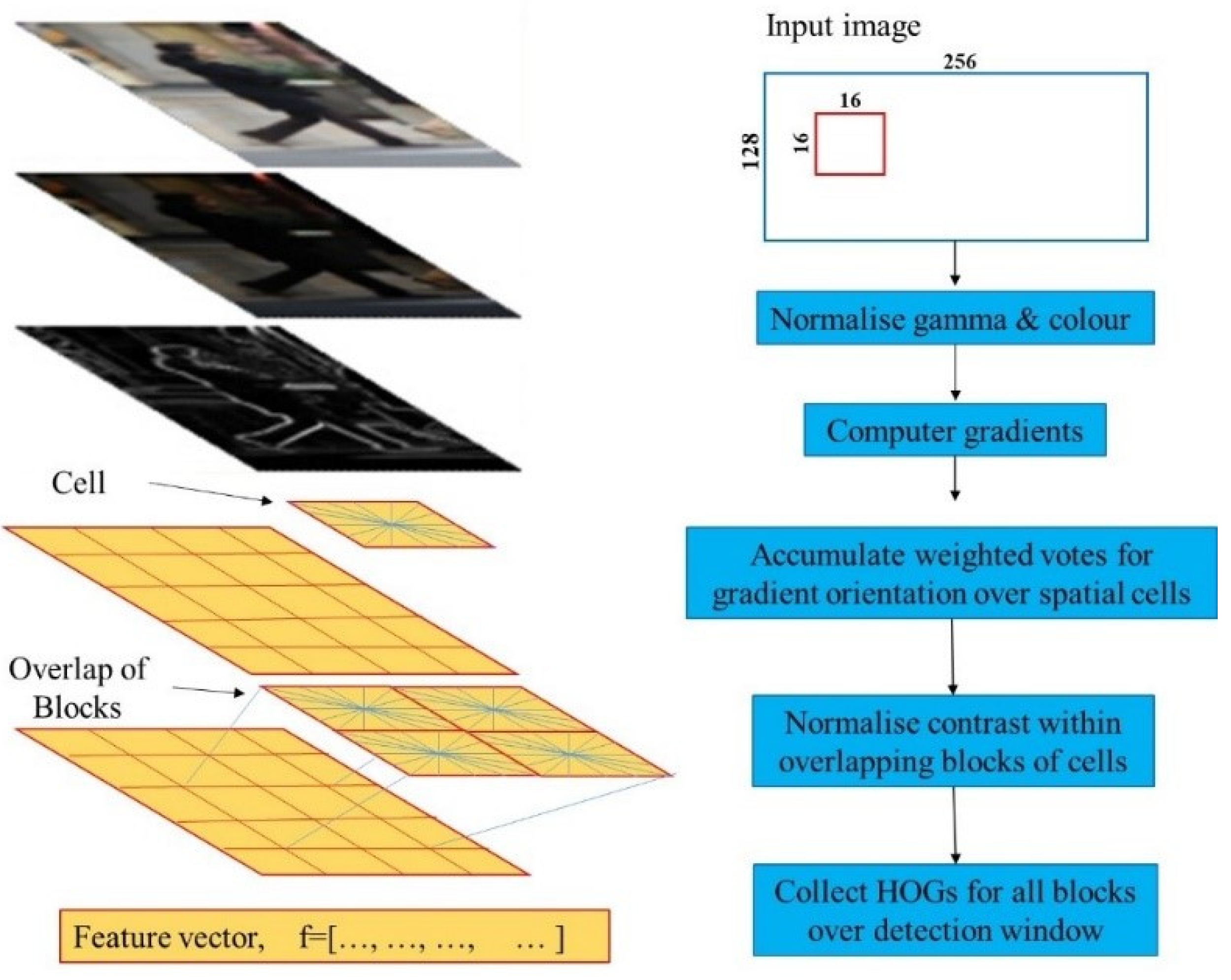 Sustainability 14 16565 g004