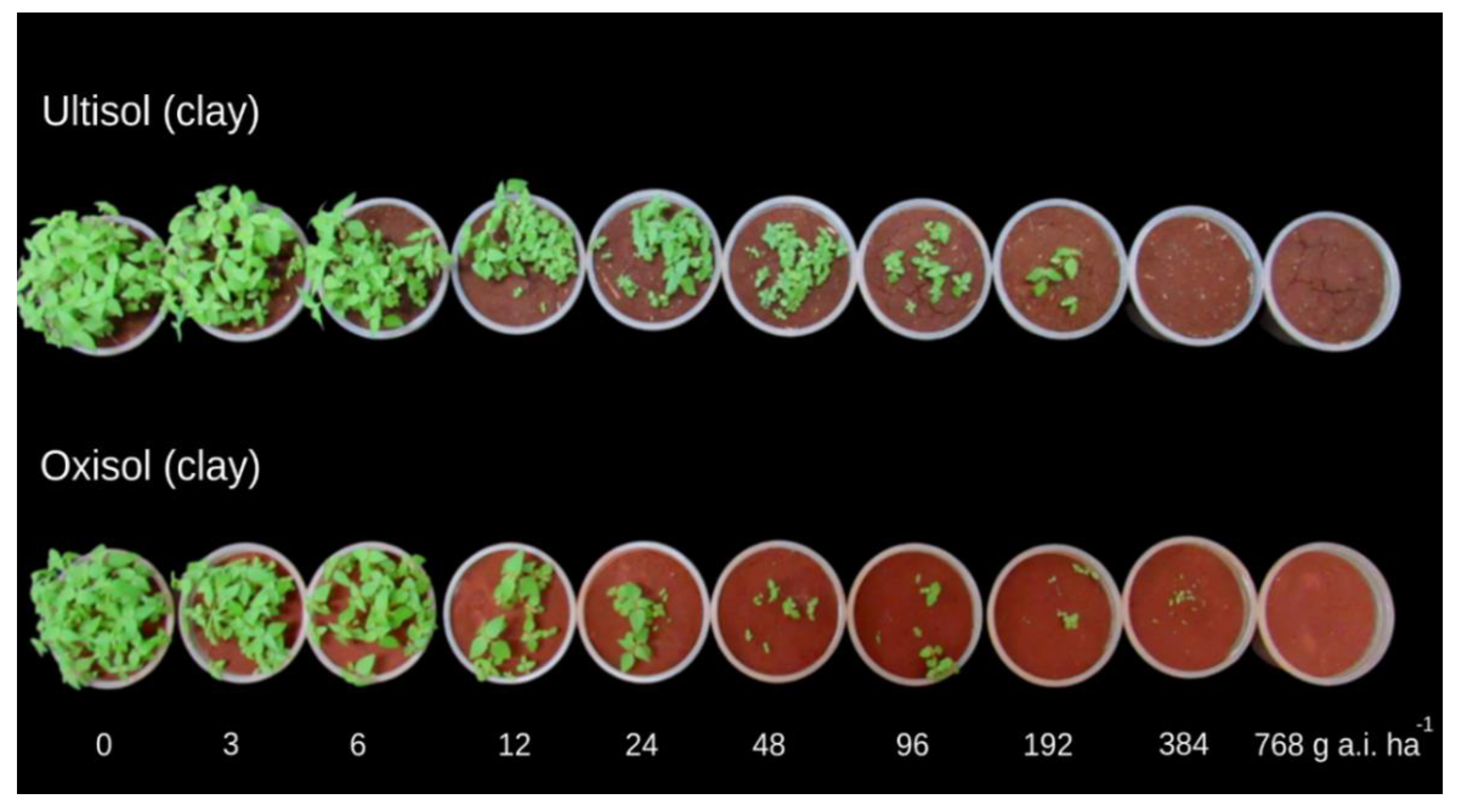 Sustainability 14 16637 g001