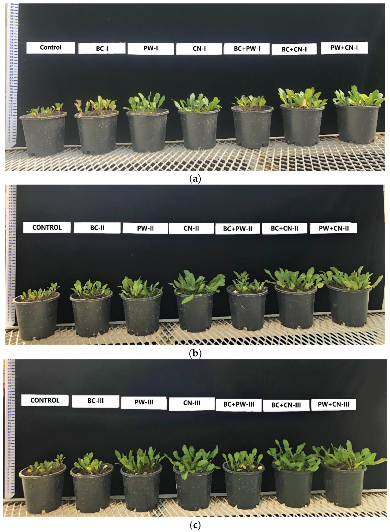 Sustainability 14 16652 g002