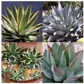 Sustainability 14 16718 i001 Sustainability 14 16718 i001