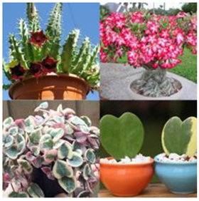 Sustainability 14 16718 i002 Sustainability 14 16718 i002