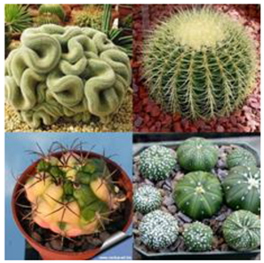 Sustainability 14 16718 i003 Sustainability 14 16718 i003