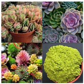 Sustainability 14 16718 i004 Sustainability 14 16718 i004