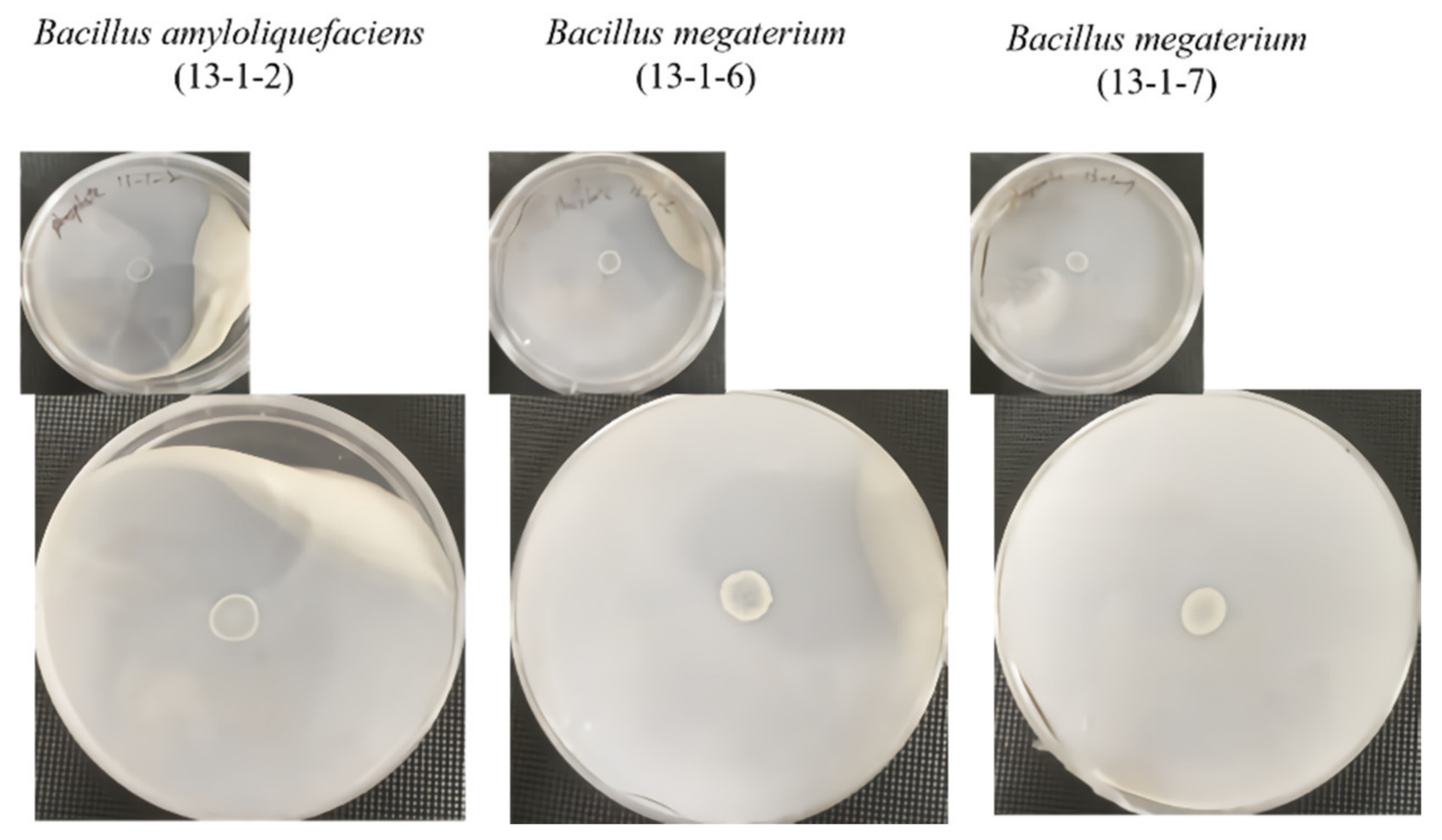 Sustainability 14 16724 g008