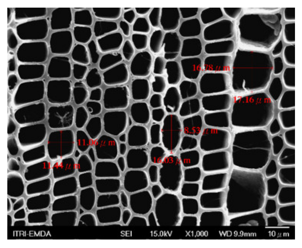 Sustainability 14 16724 g011