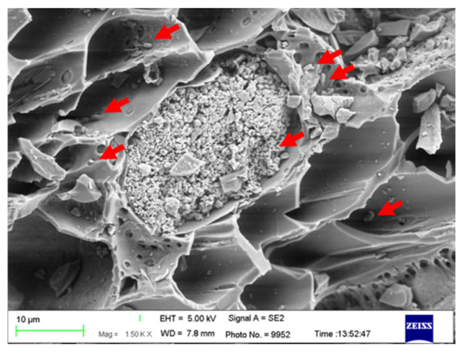 Sustainability 14 16724 g014