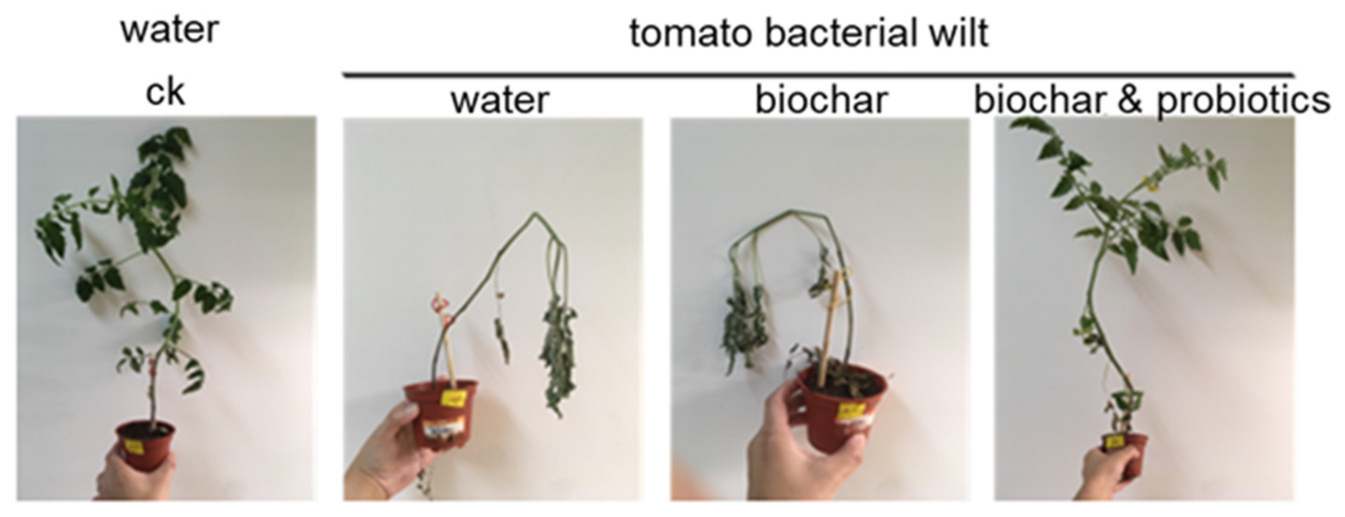 Sustainability 14 16724 g016