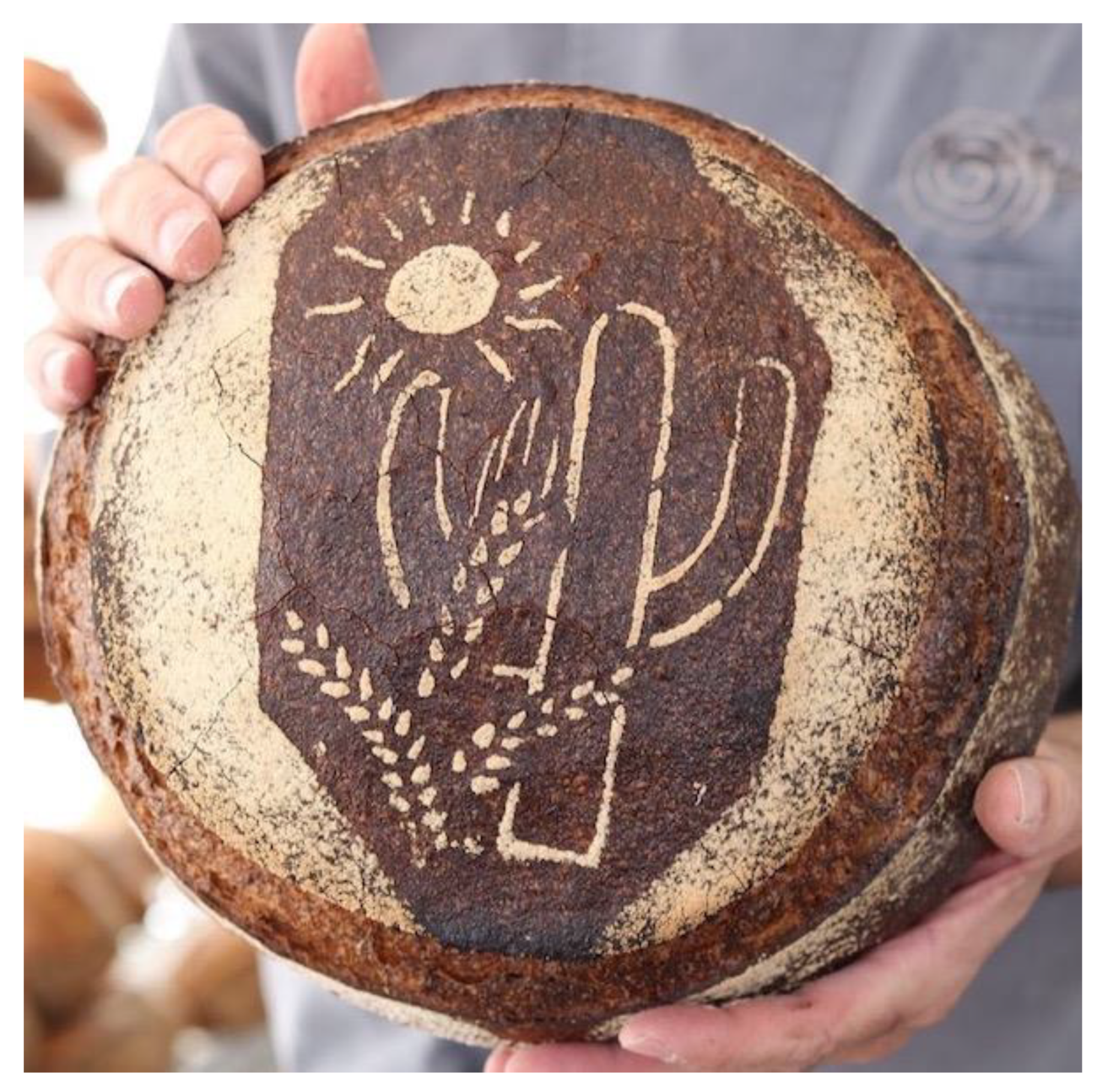 Sustainability 14 16744 g001