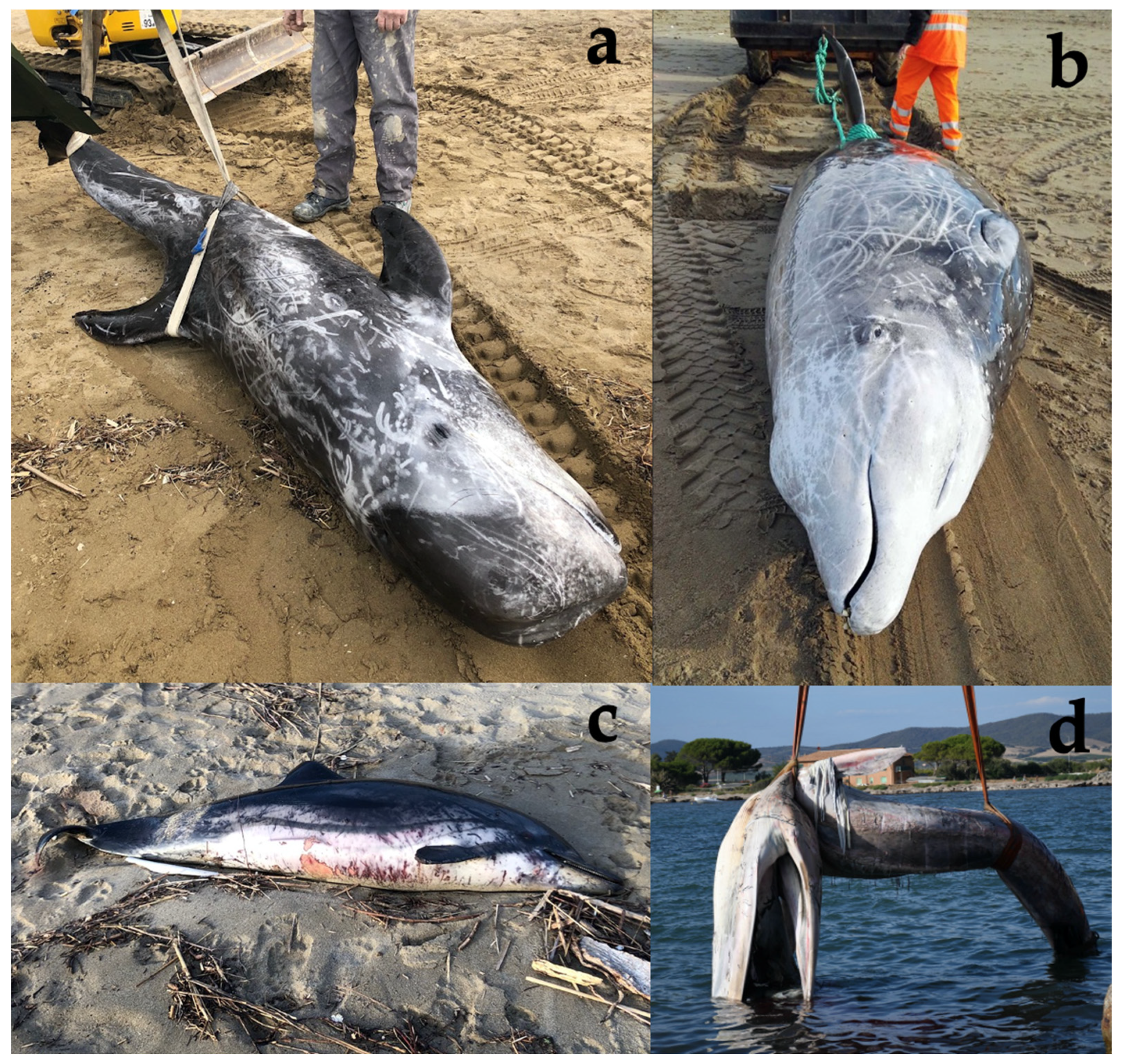 Sustainability 14 16763 g002