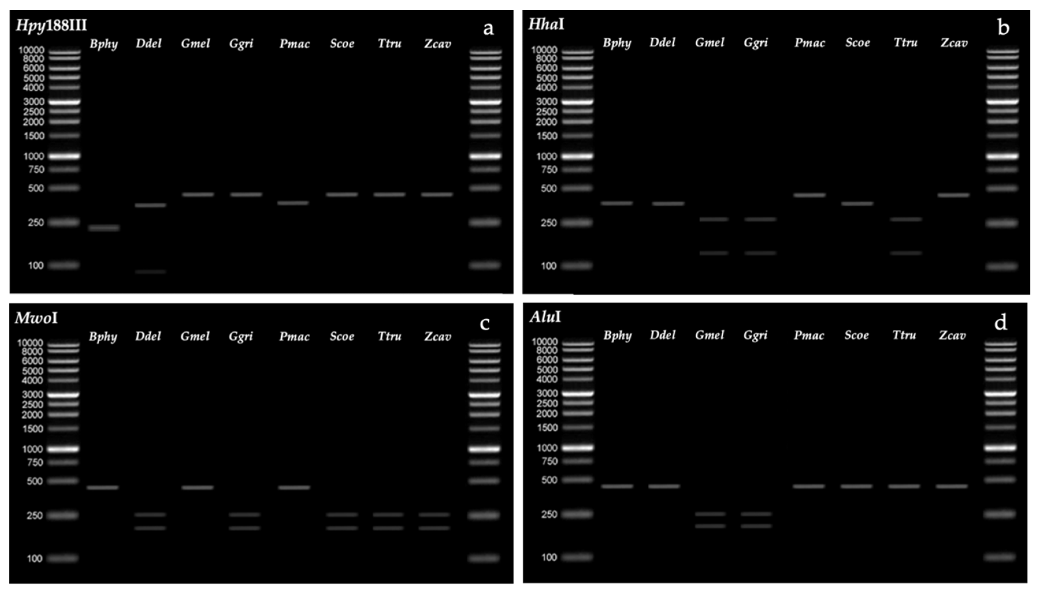 Sustainability 14 16763 g003