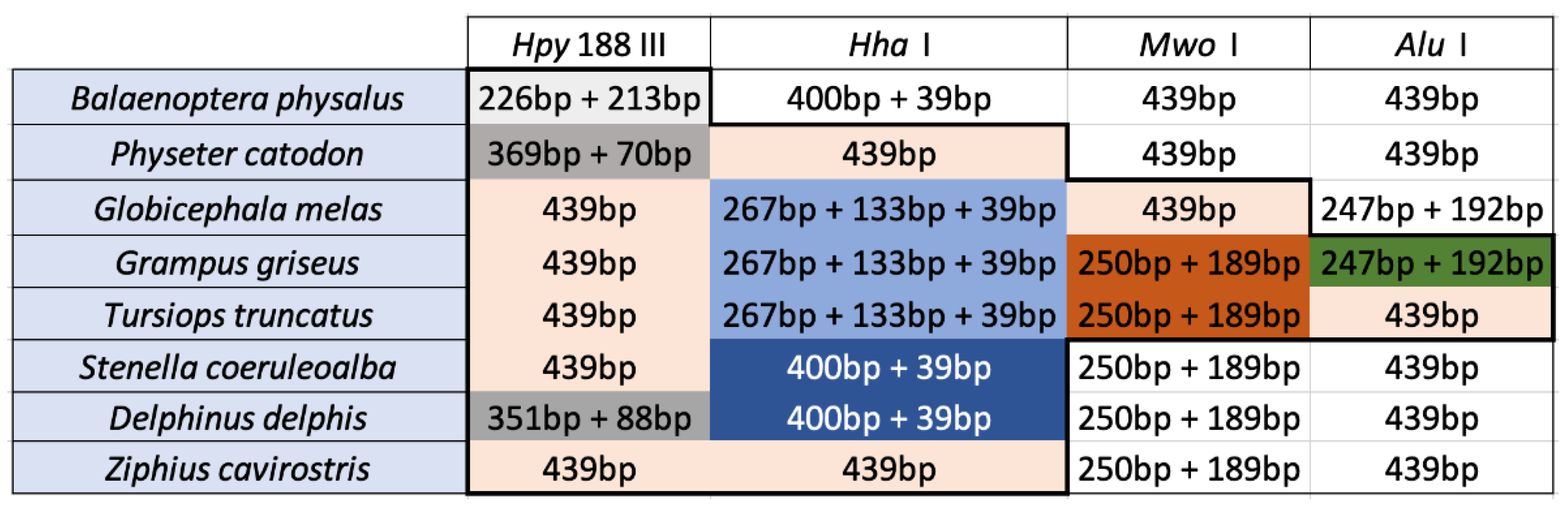 Sustainability 14 16763 g005