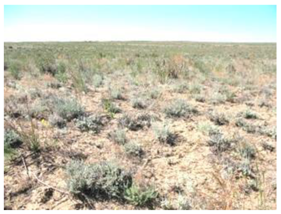 Sustainability 14 16783 g003 Sustainability 14 16783 g003