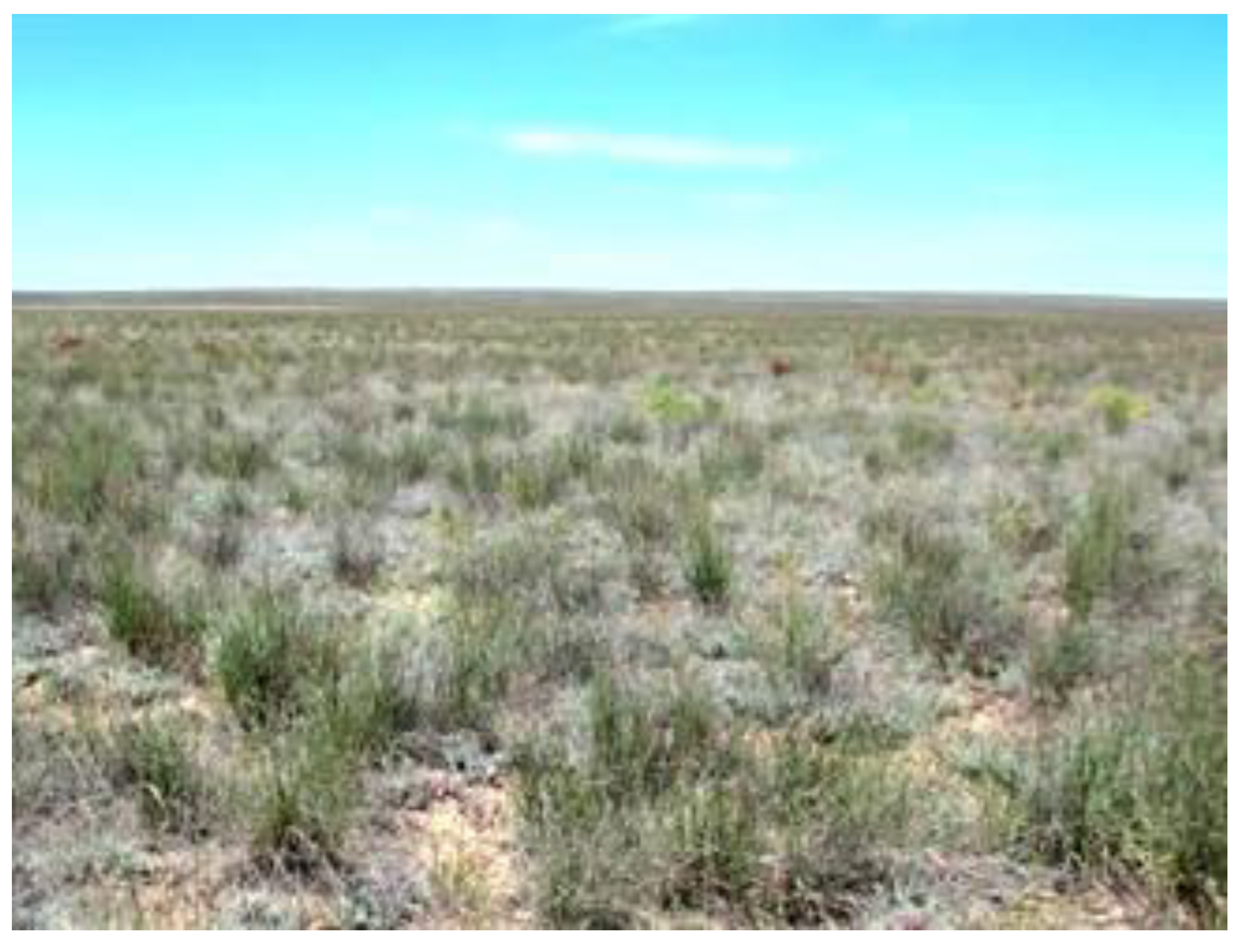 Sustainability 14 16783 g004 Sustainability 14 16783 g004