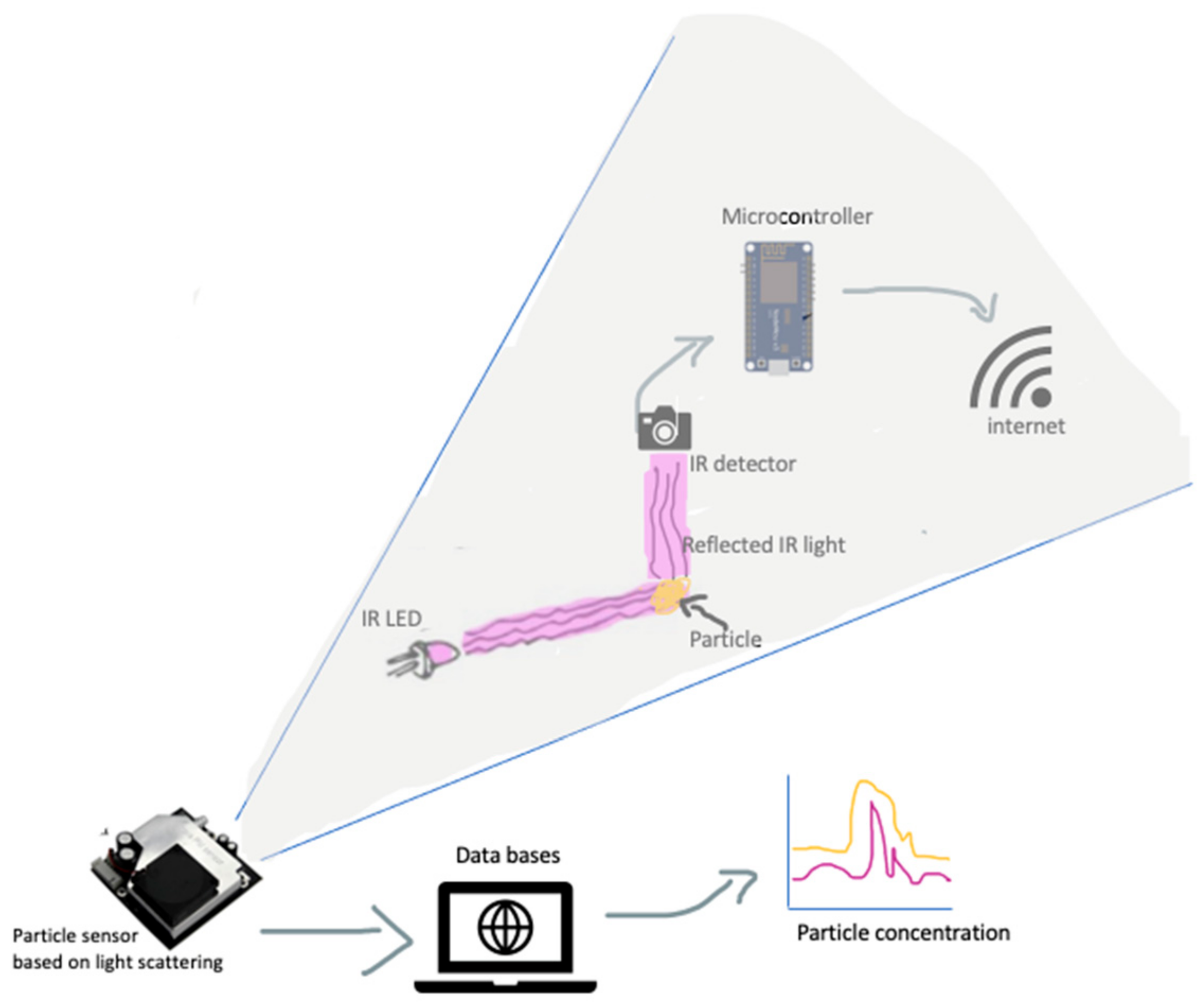 Sustainability 14 16892 g003