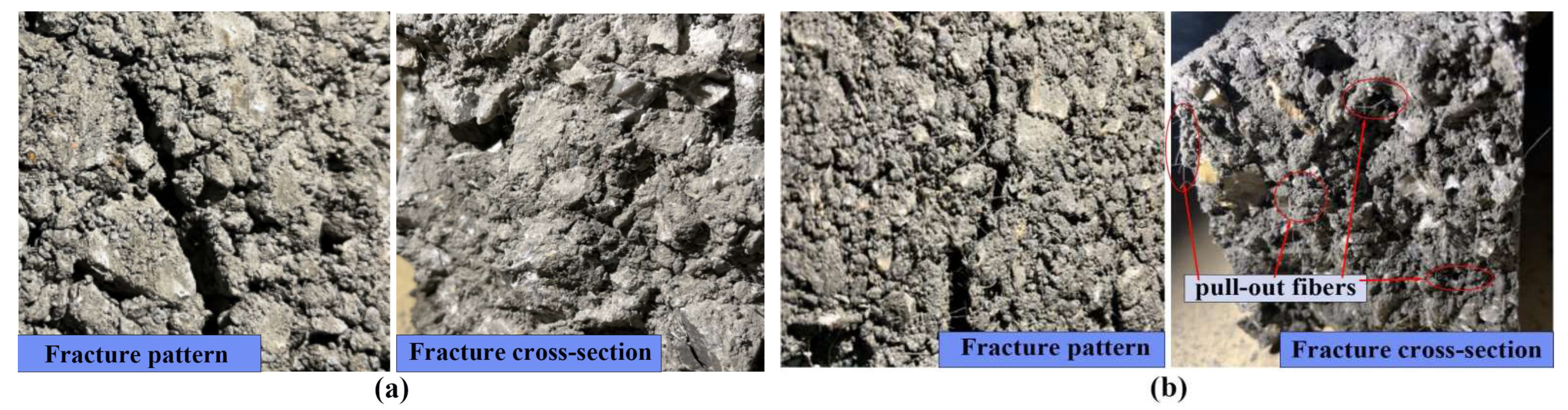 Sustainability 14 16953 g005