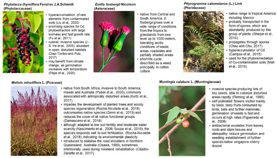 Sustainability 14 17003 g001