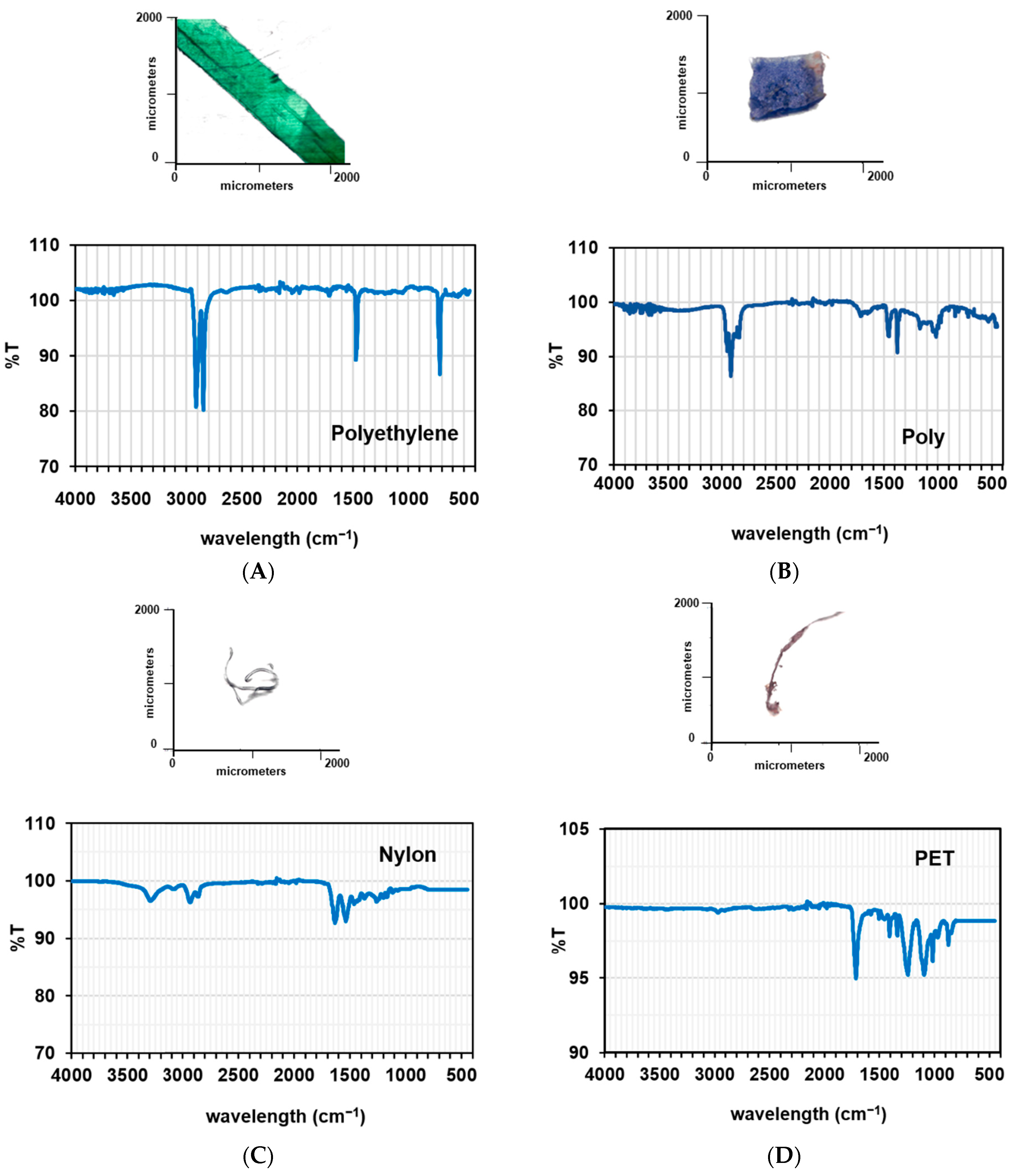 Sustainability 15 00009 g003 Sustainability 15 00009 g003