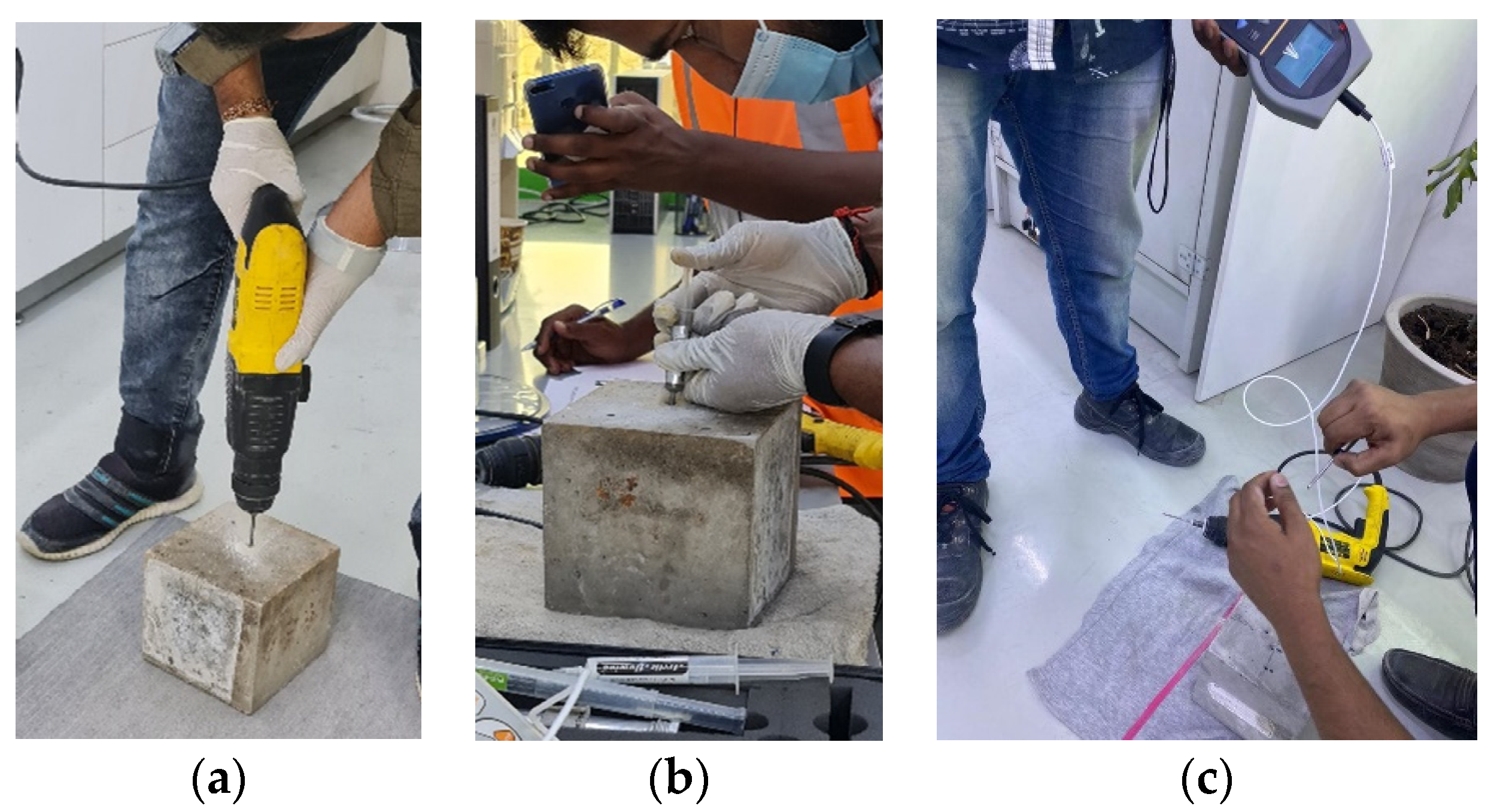 Sustainability 15 00109 g003