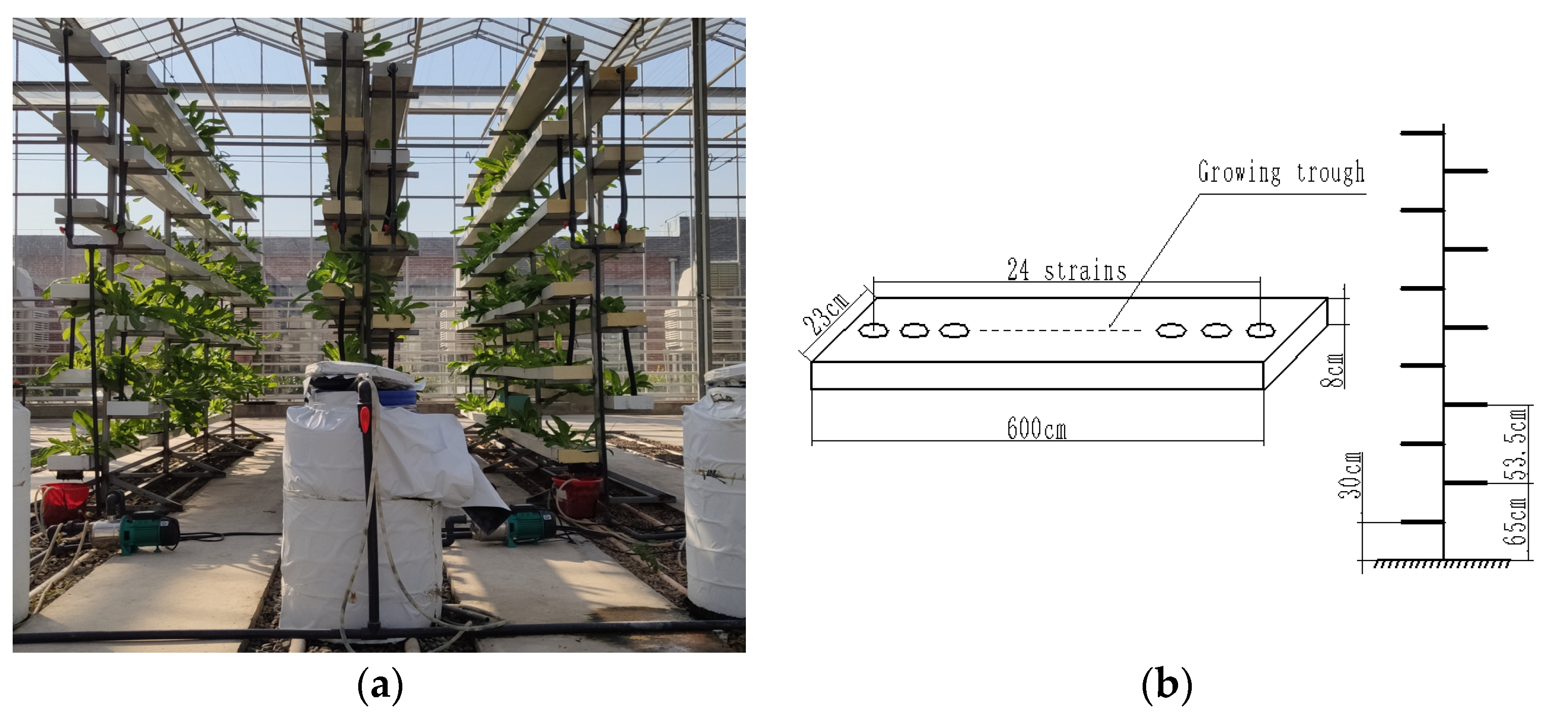 Sustainability 15 00173 g006