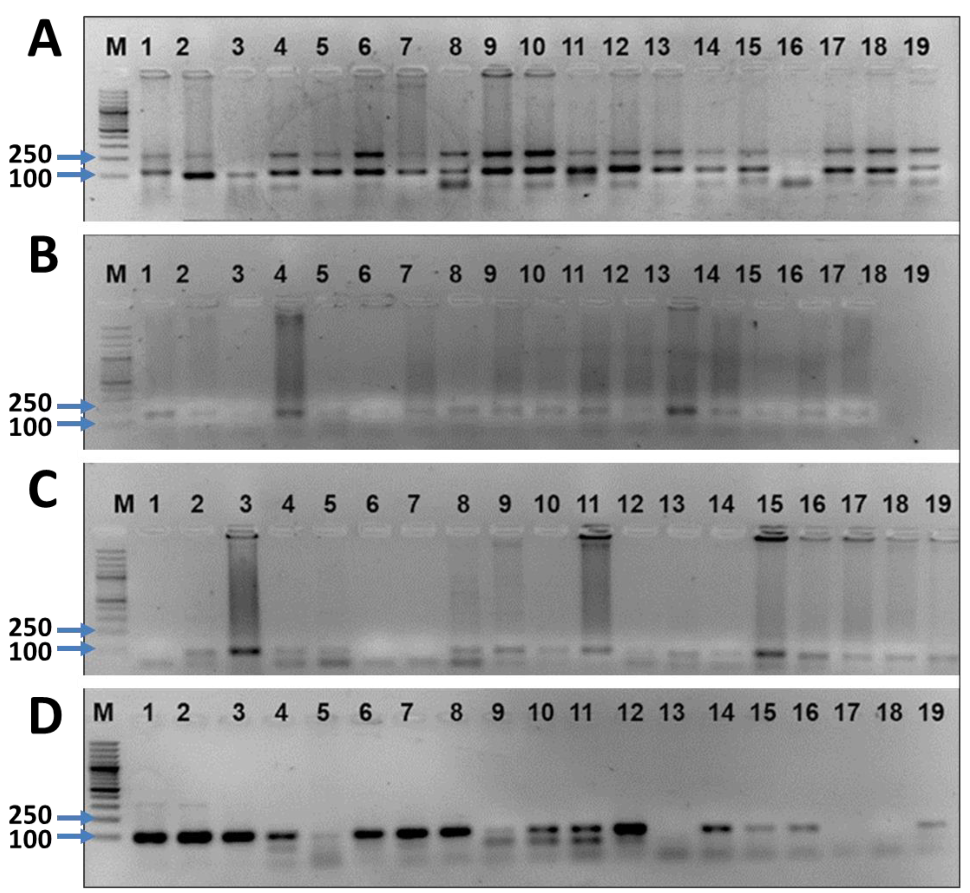 Sustainability 15 00293 g005
