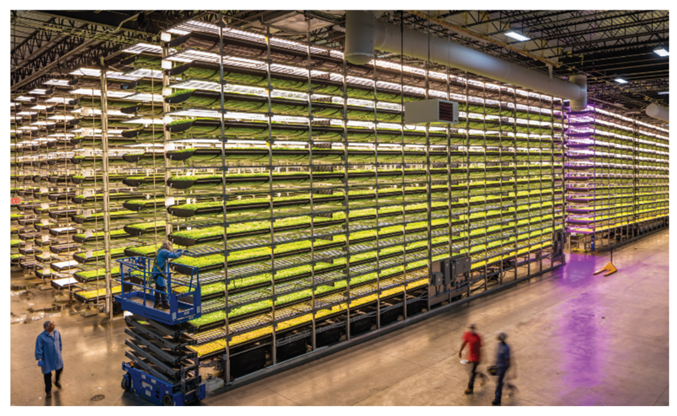 Sustainability 15 00304 g001