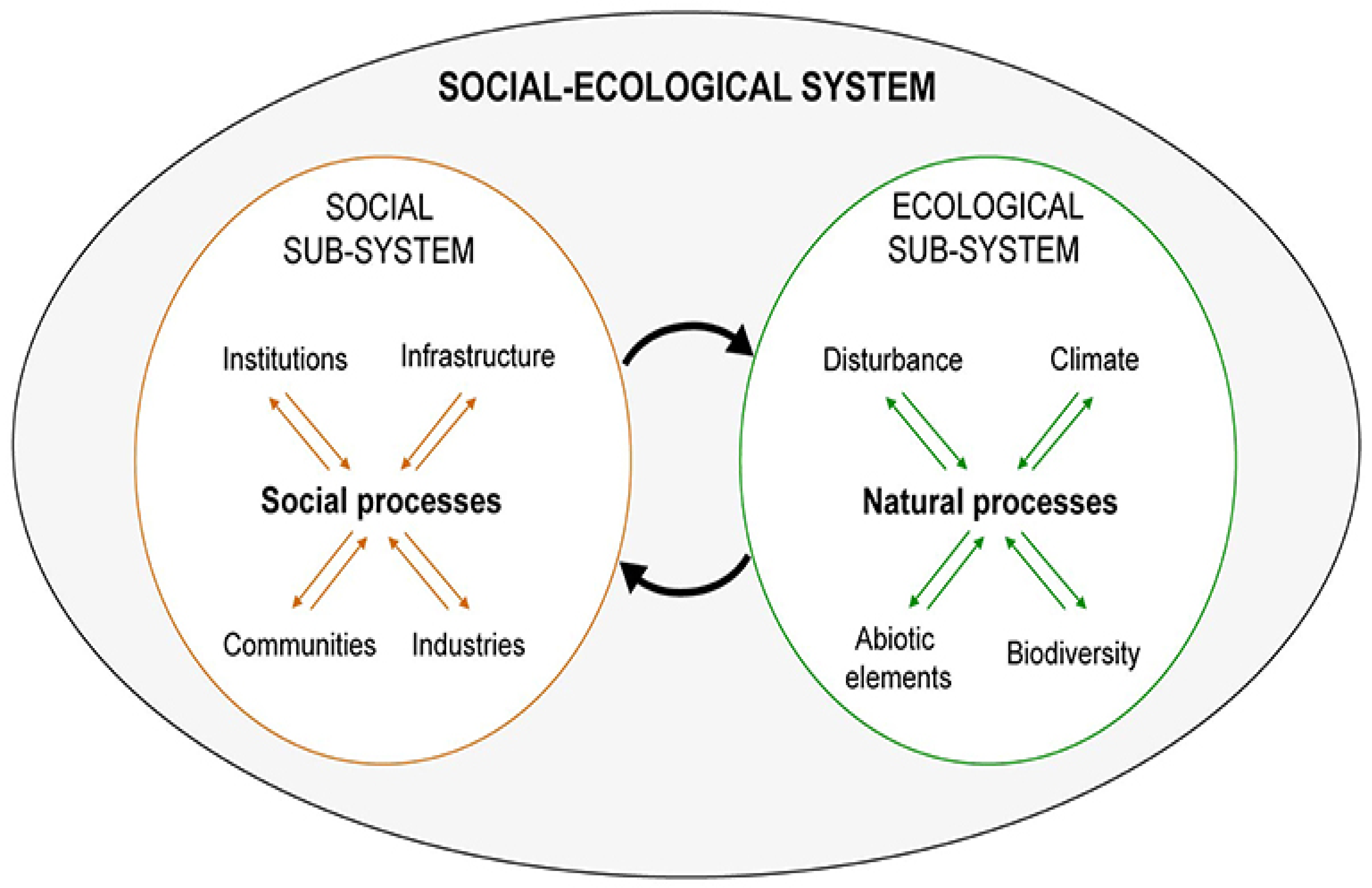 Sustainability 15 00321 g001