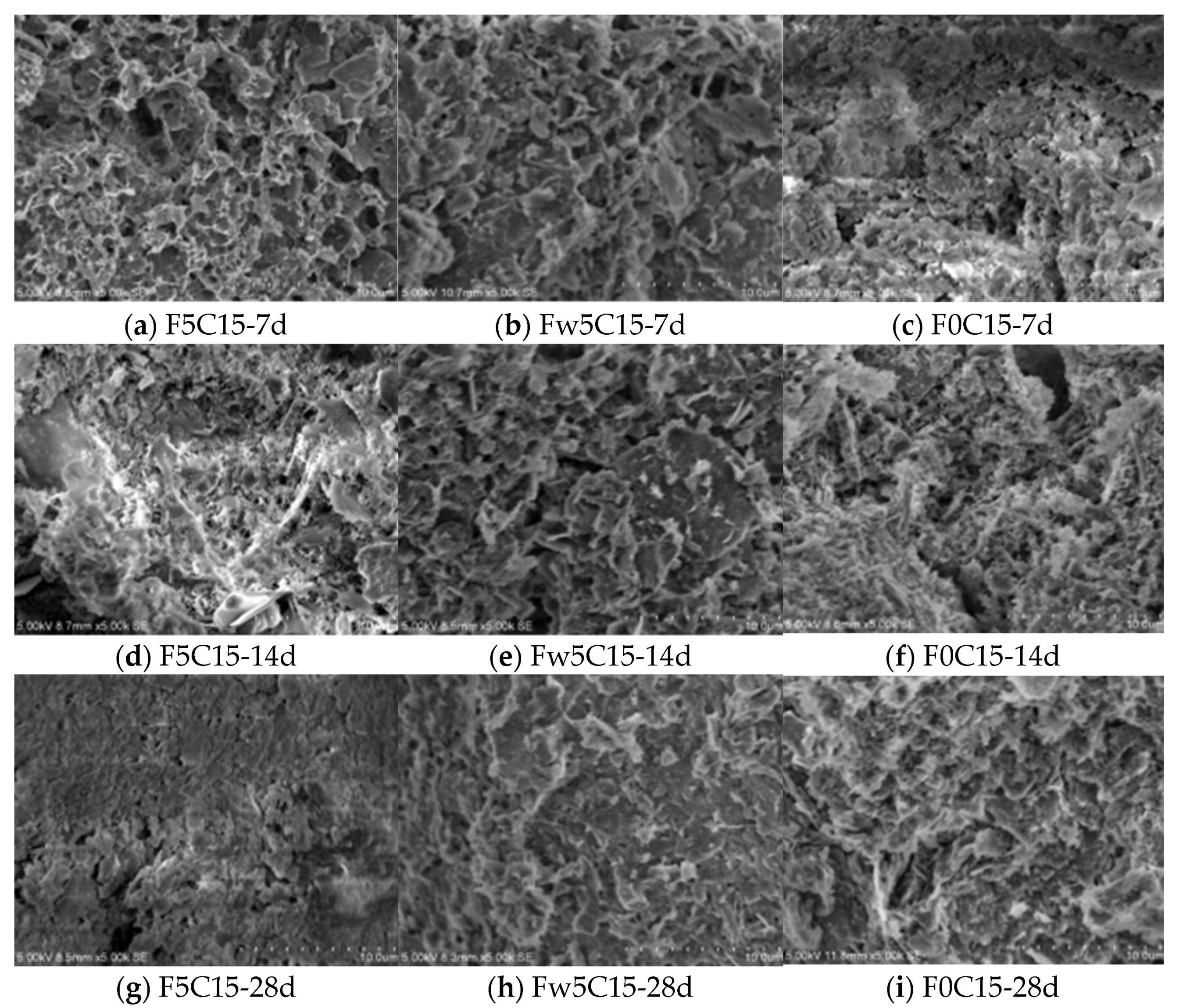 Sustainability 15 00364 g006