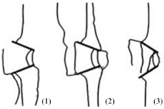 Sustainability 15 00459 i001 Sustainability 15 00459 i001