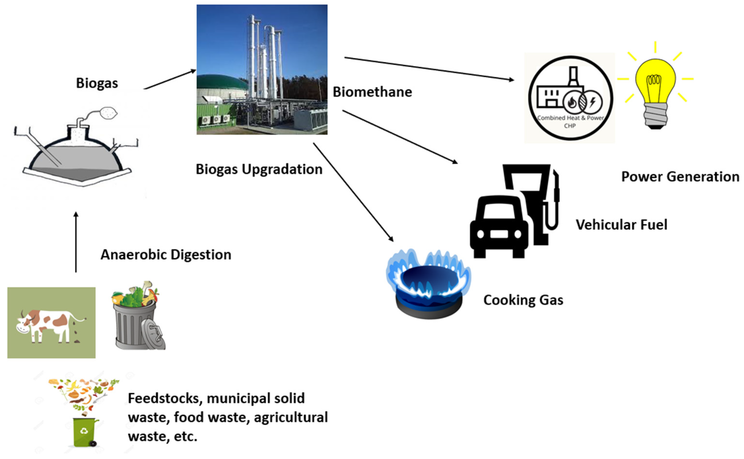 Sustainability 15 00476 g001