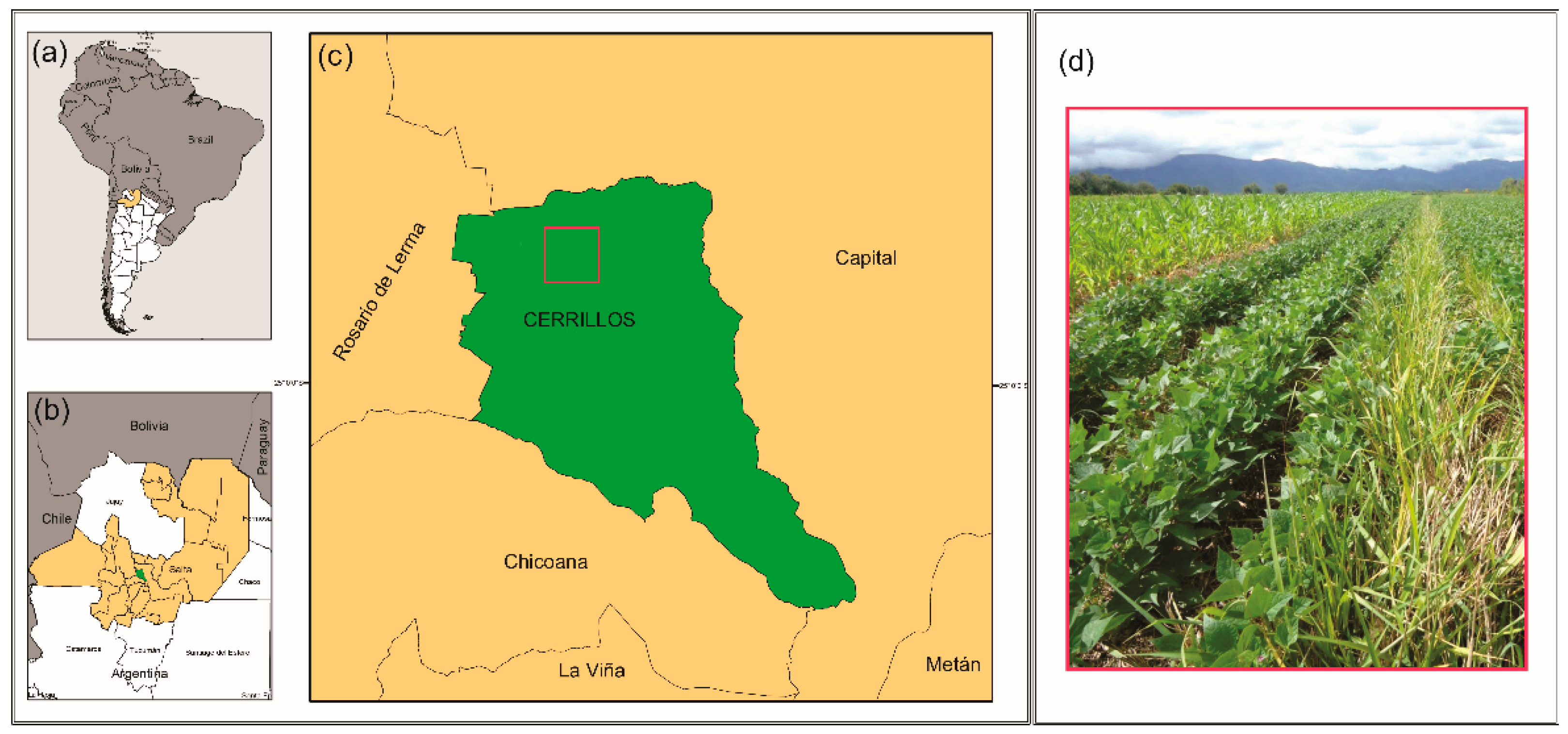 Sustainability 15 00488 g001
