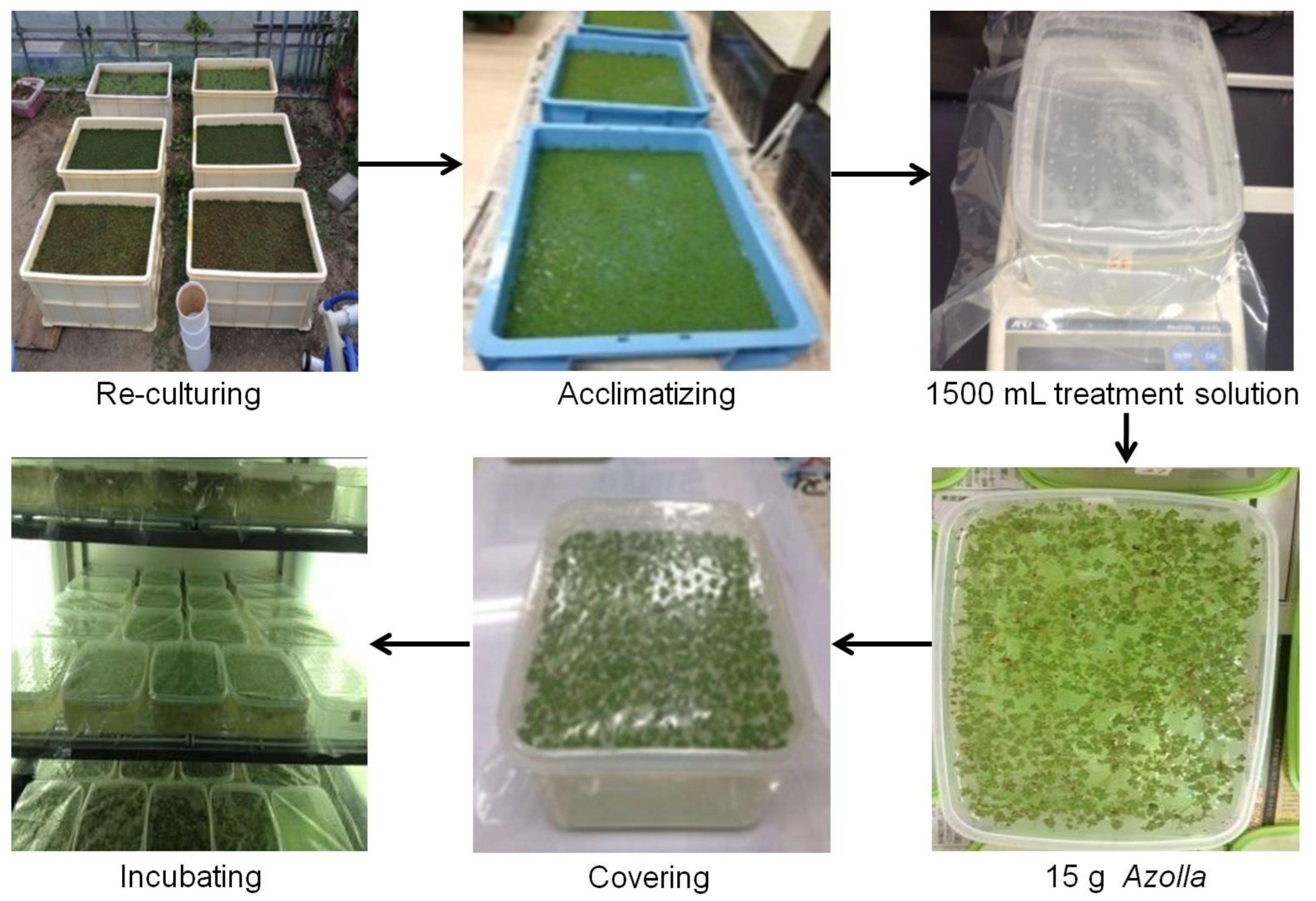 Sustainability 15 00497 g001