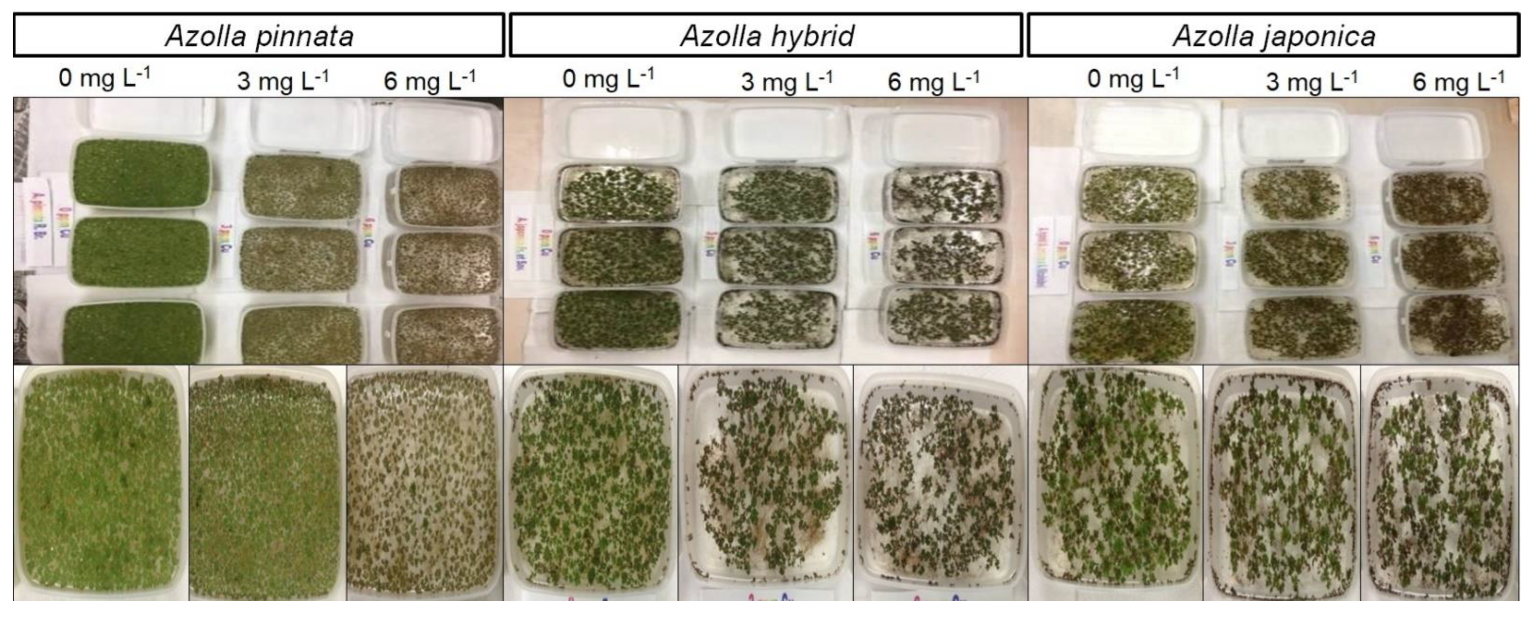 Sustainability 15 00497 g007