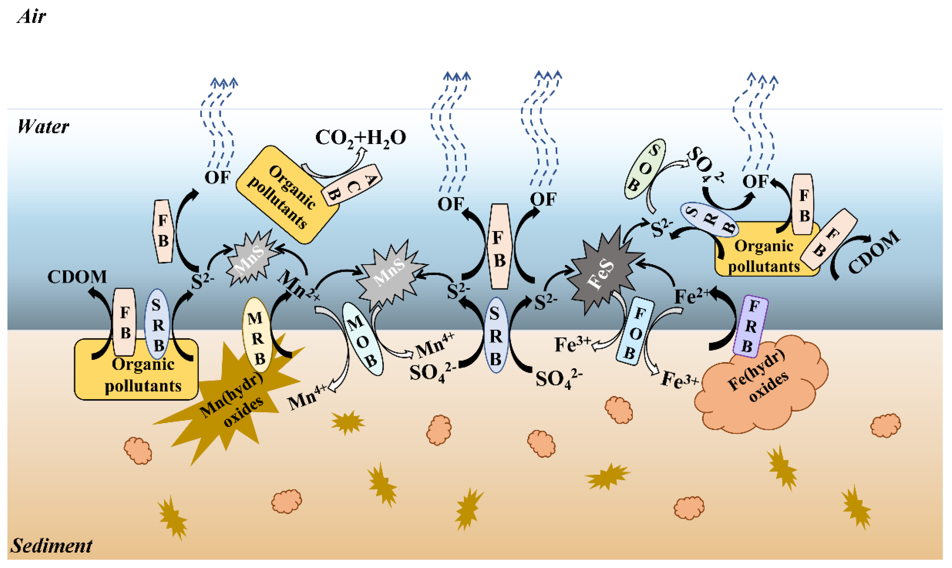 Sustainability 15 00521 g003